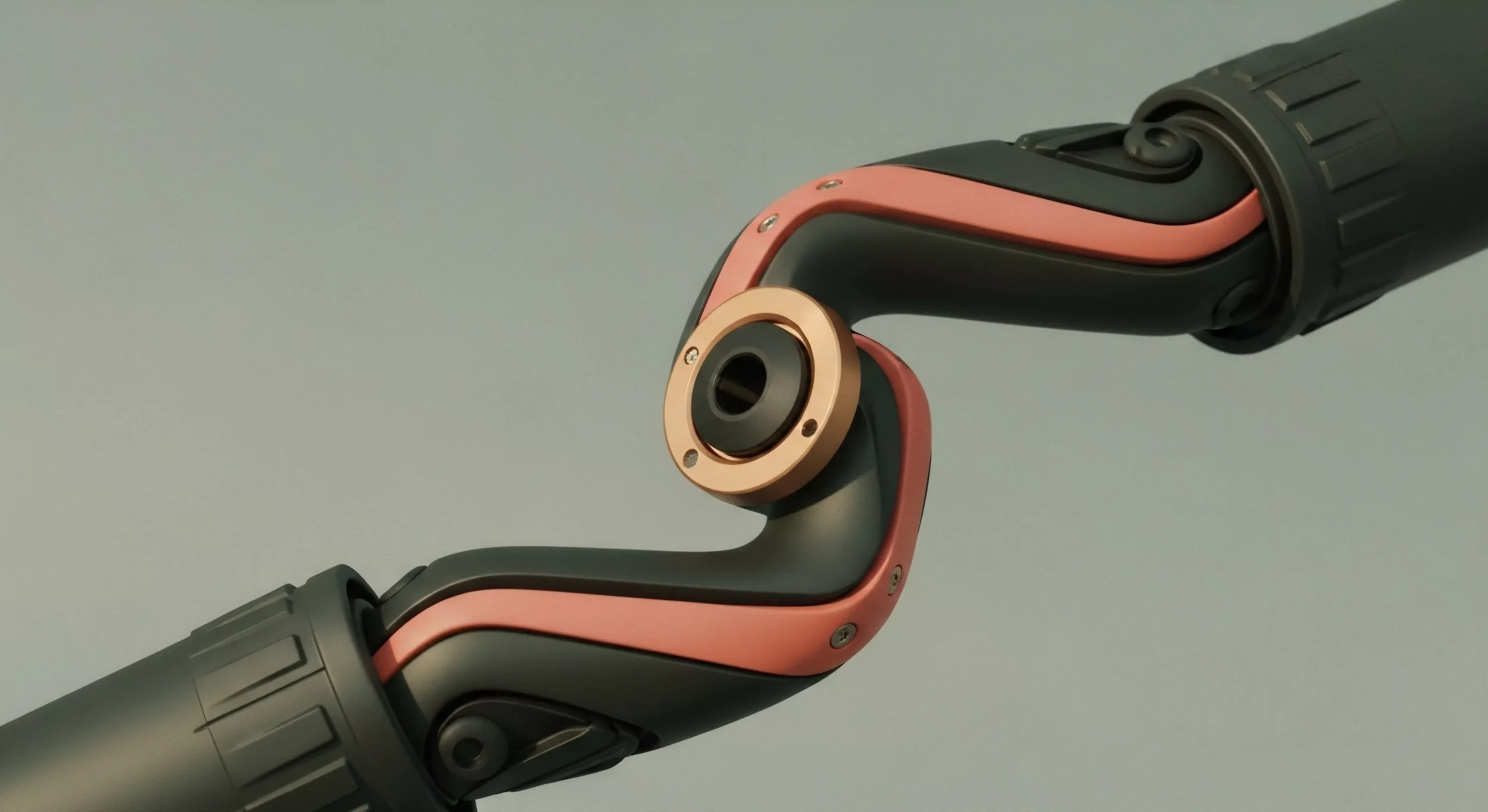 How This Little Beetle Solved the Problem of Friction