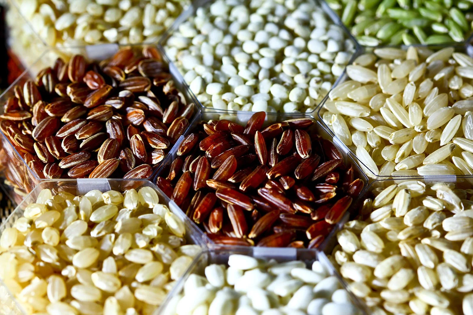 Top Ecofriendly Rice Choices — Little Green Myths