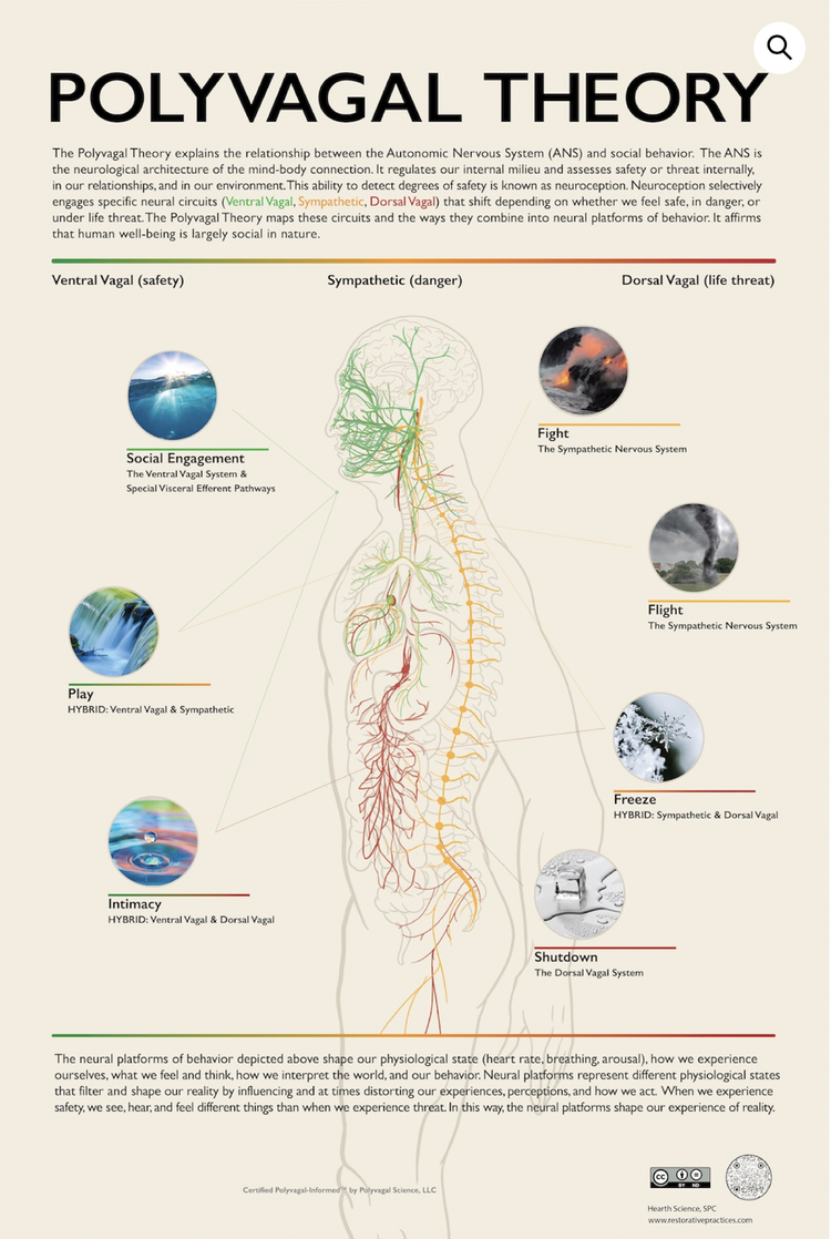 Polyvagal theory integration with other therapies