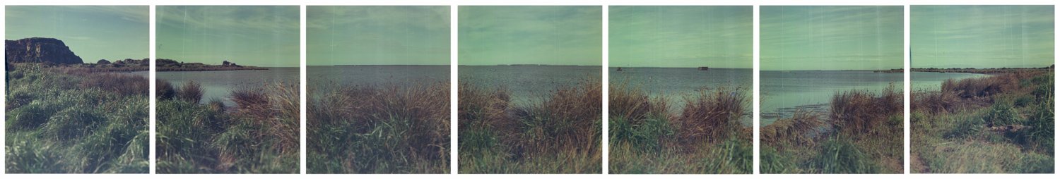 20251107 Kaituna West nov.jpg