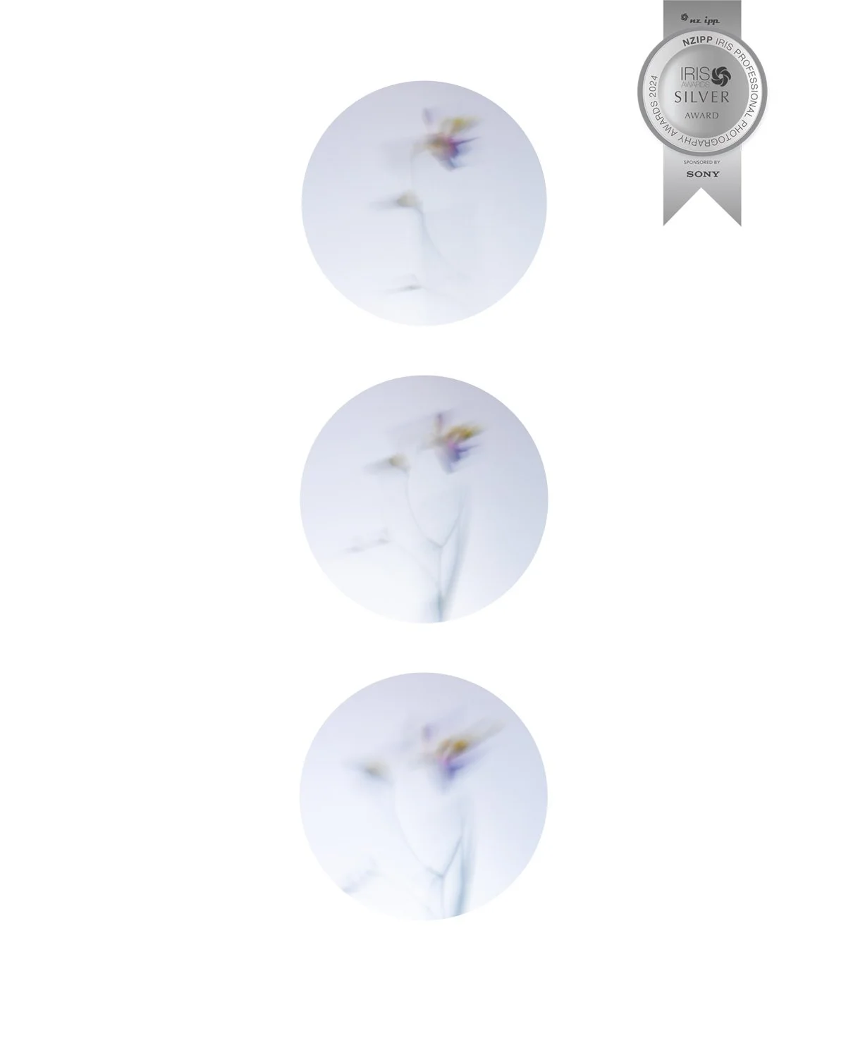 Decal Low_Rebecca_02.jpg