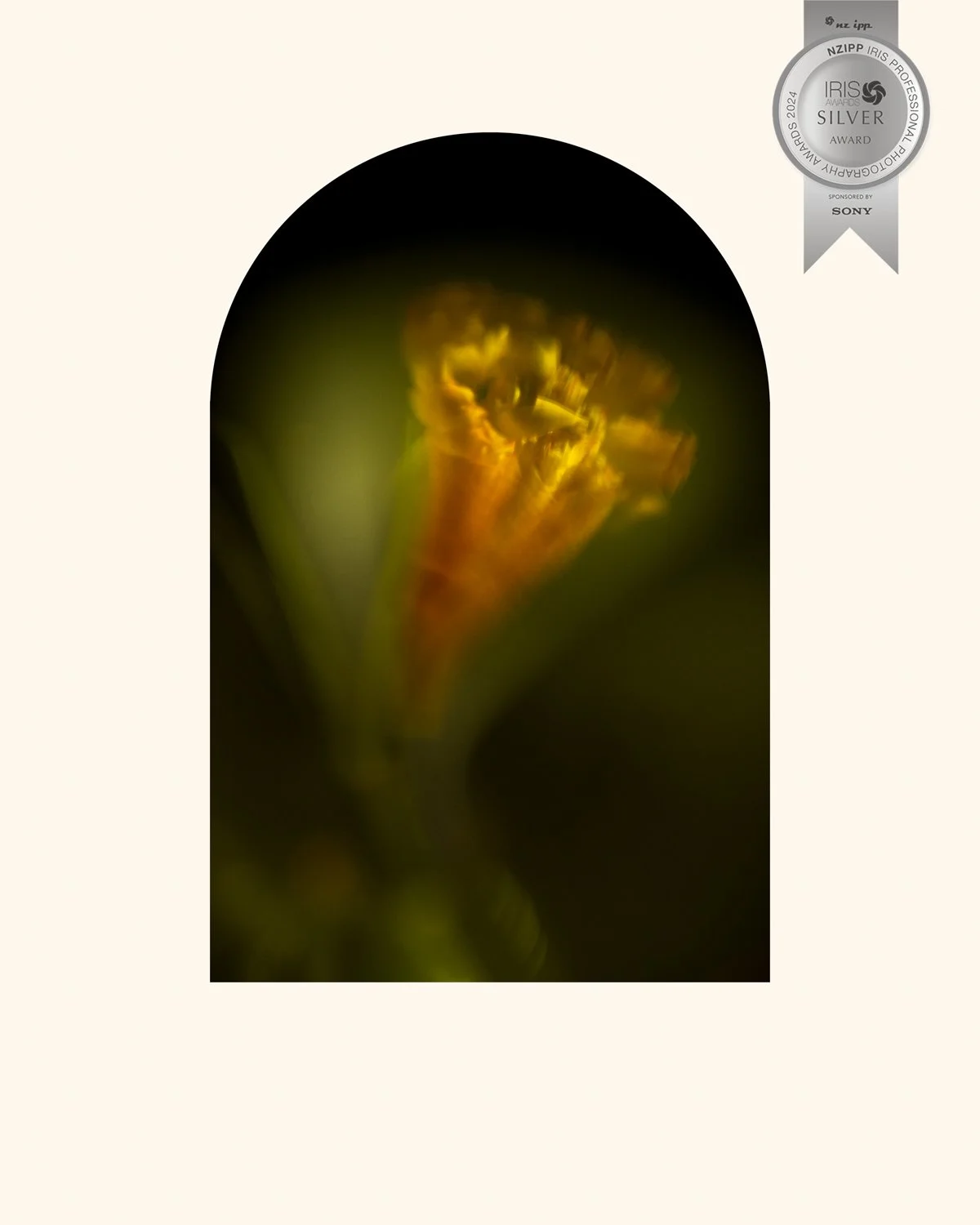 Decal Beautiful Decay - Tulip arch 1 copy.jpg