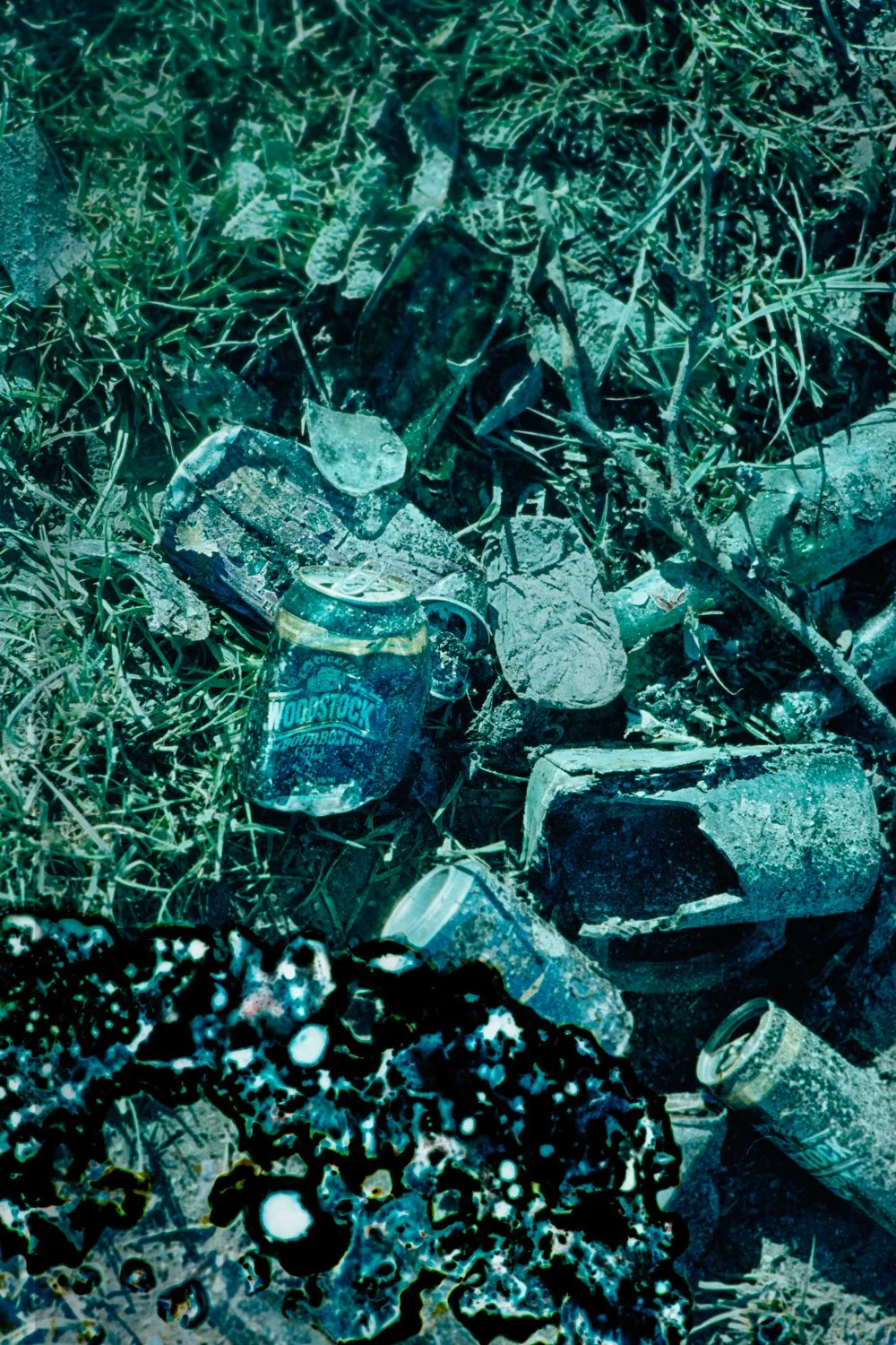 2025100620251006BacteriadistressedWaikirikiri009-Edit.jpg