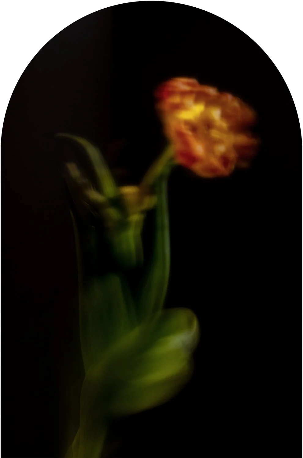 Beautiful Decay - Tulip arch 4 WEB.jpg