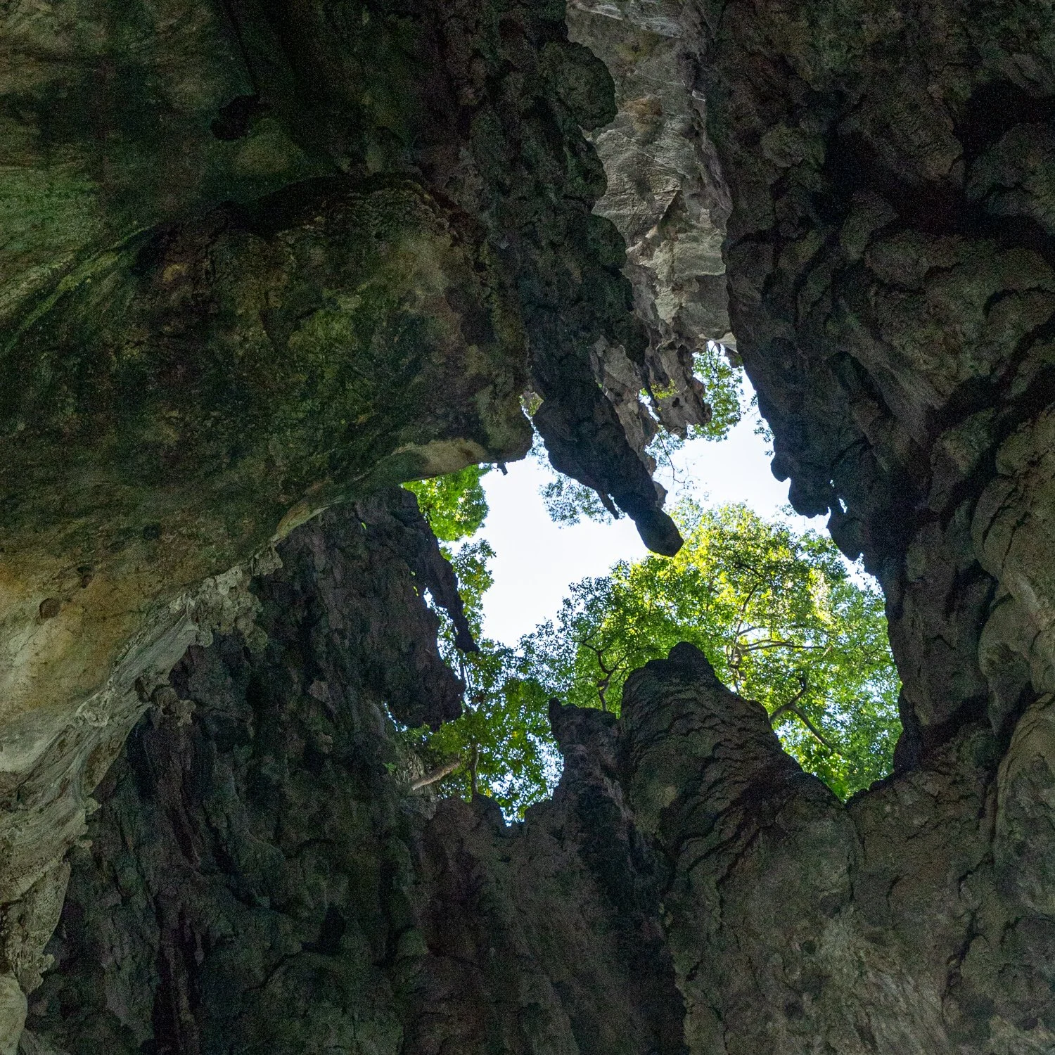 20240415Malaysia Singapore052.jpg