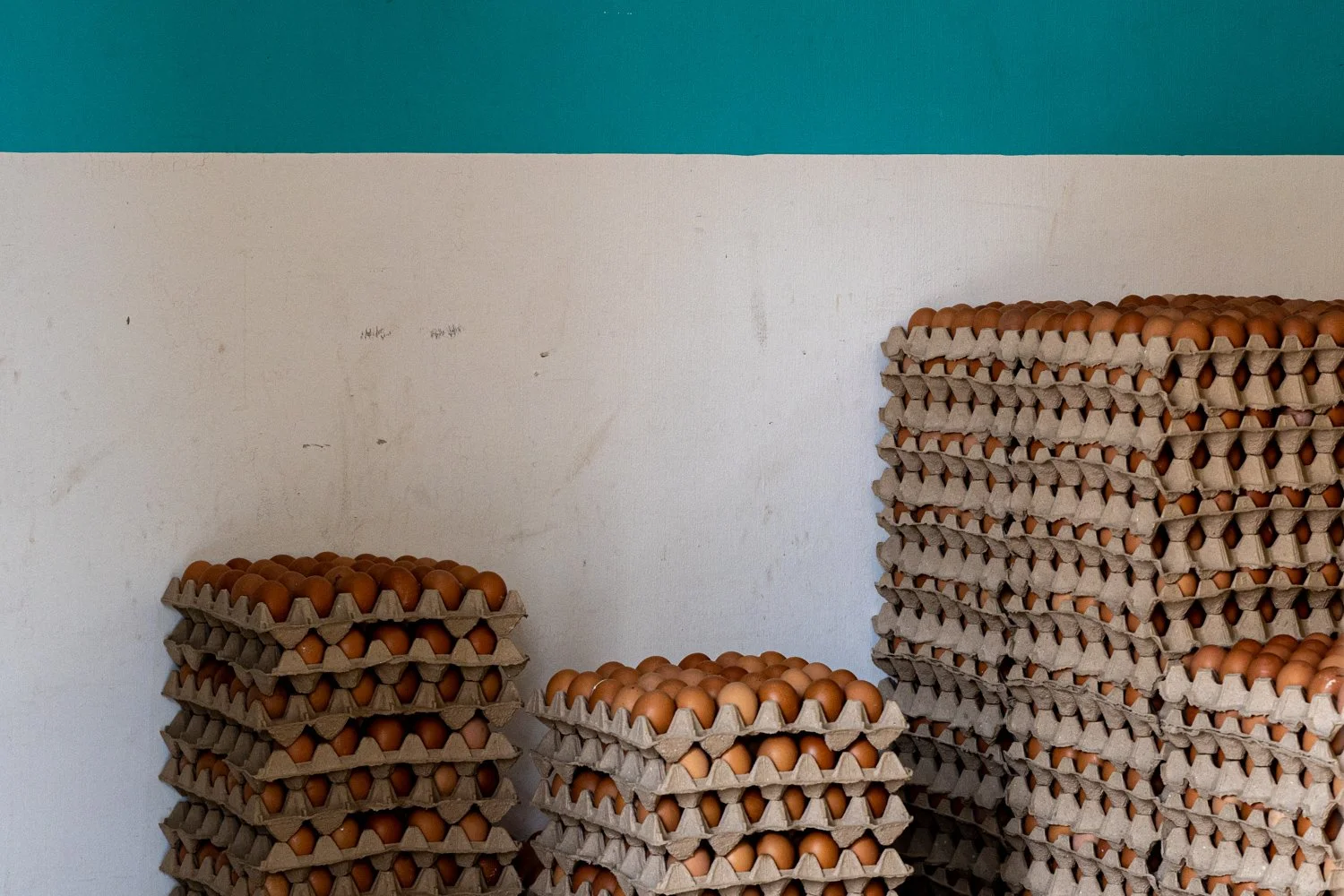 20240423Malaysia Singapore697.jpg