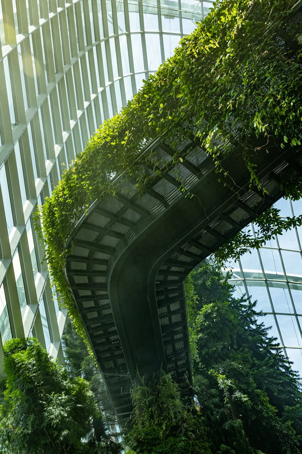 20240426Malaysia Singapore1126-HDR.jpg