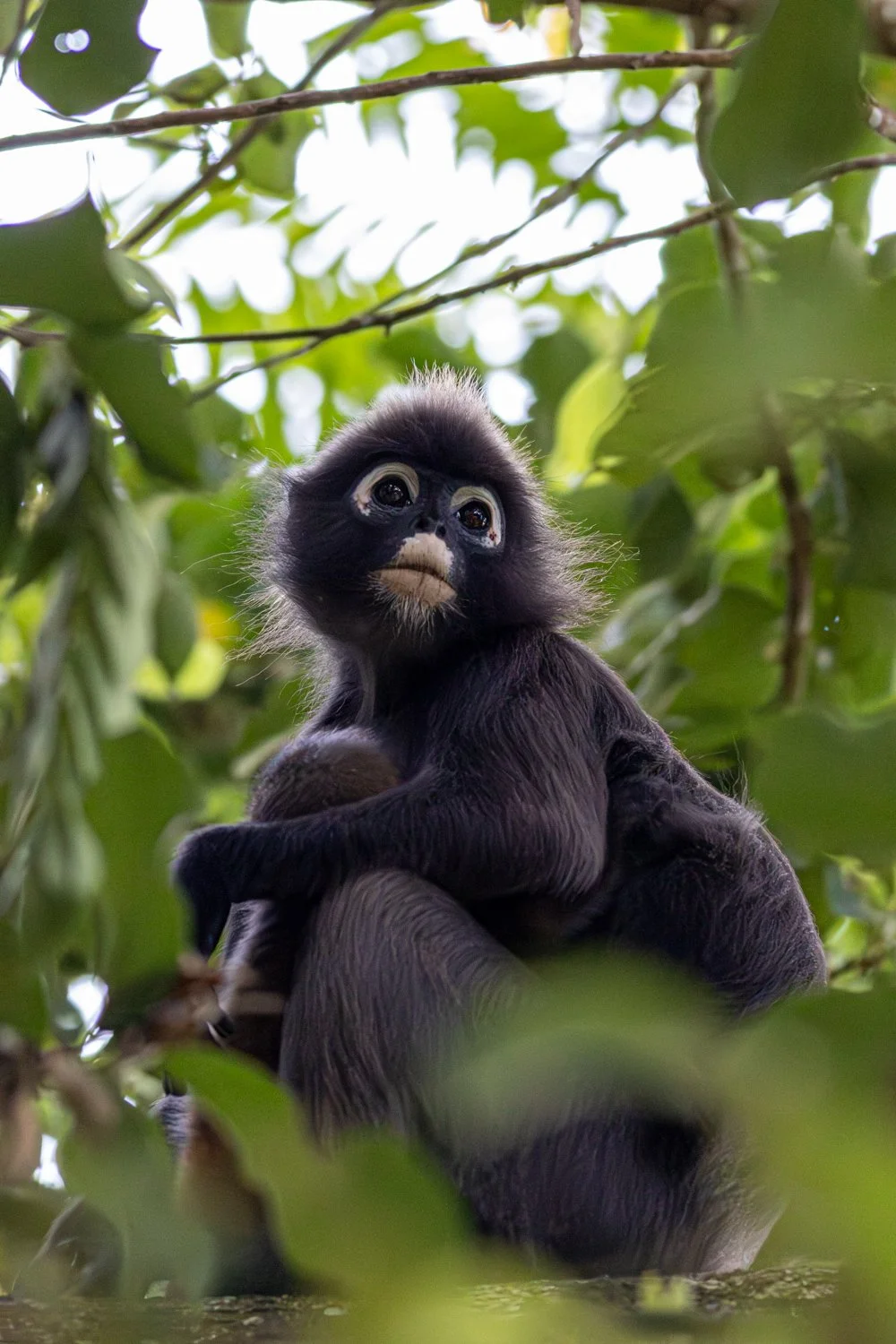 20240422Malaysia Singapore539-Enhanced-NR.jpg