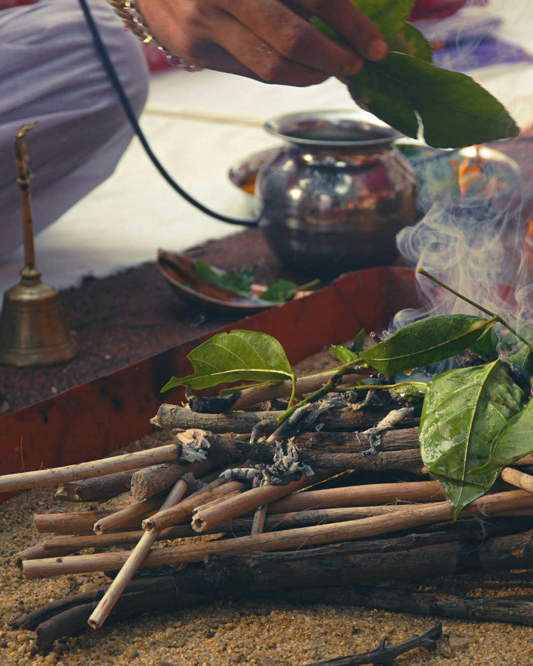 Scotland’s Wild Medicine Festival