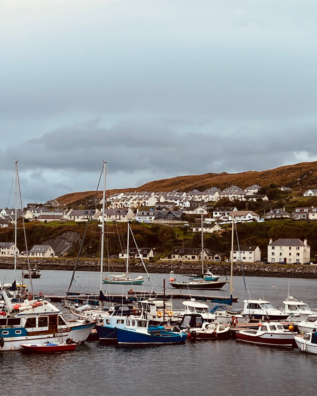 Carradale Harbour Day