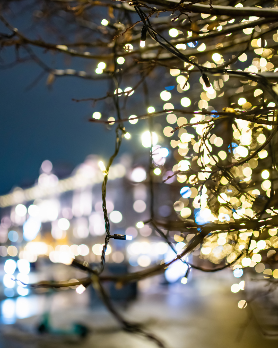 Christmas Lights Switch On