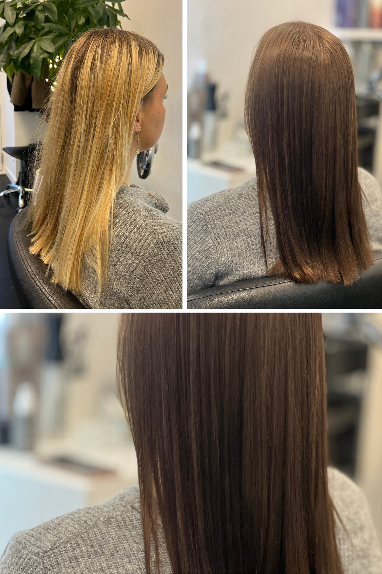 Fra lyst til mørkt hår – hvorfor det er en proces (og ikke bare én farve)