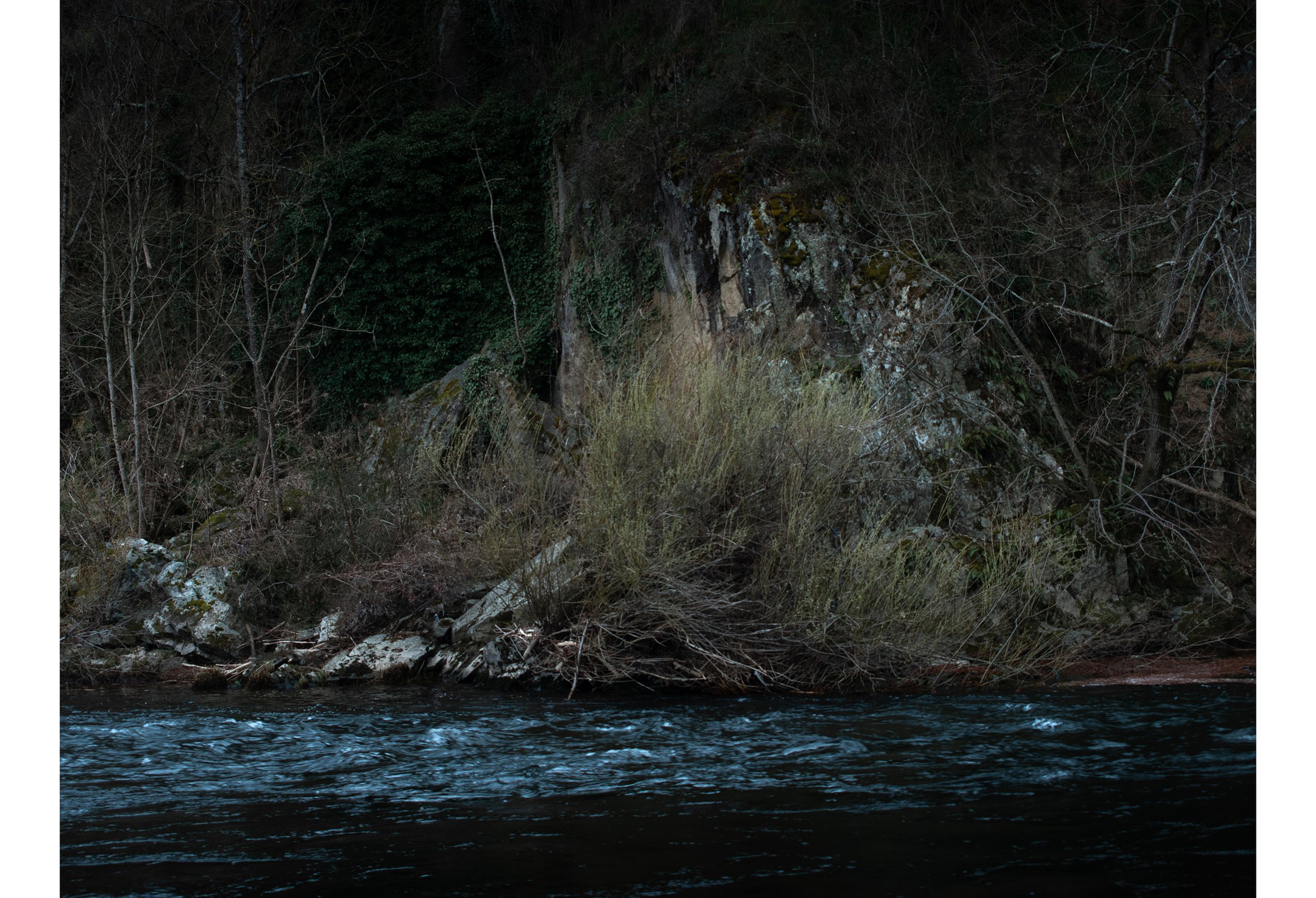 DSC_0694.jpg