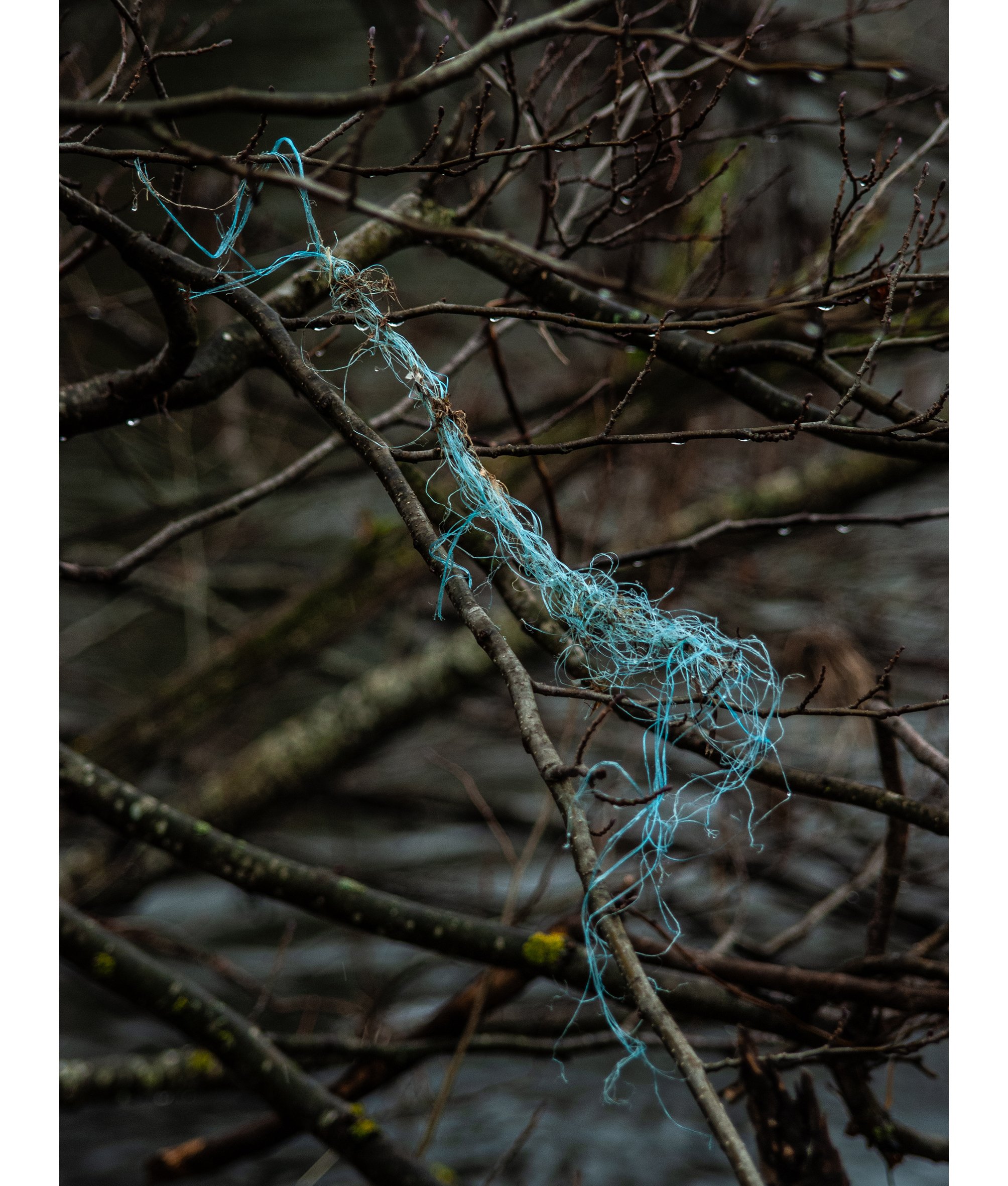 DSC_0010.jpg