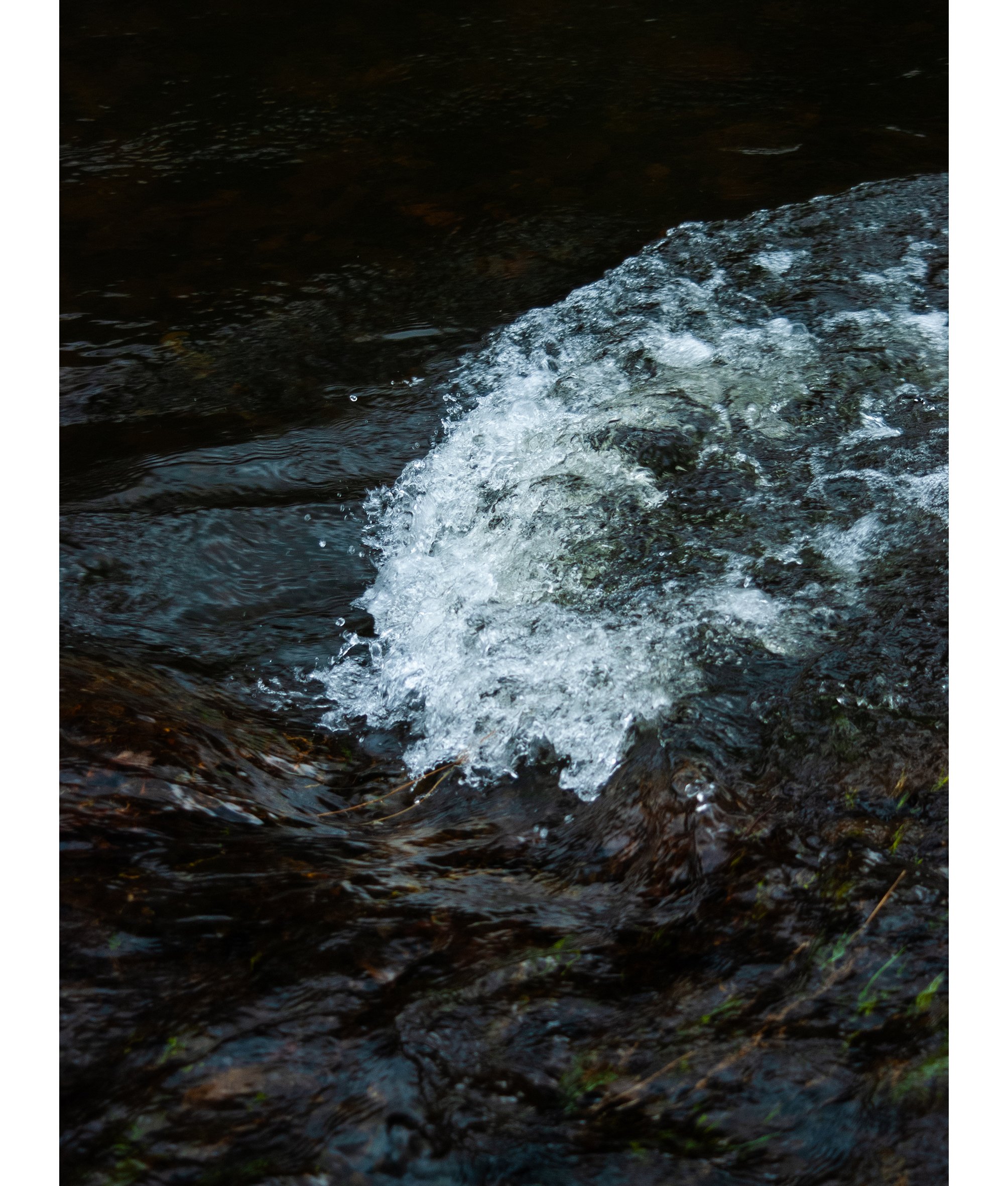 DSC_0702.jpg