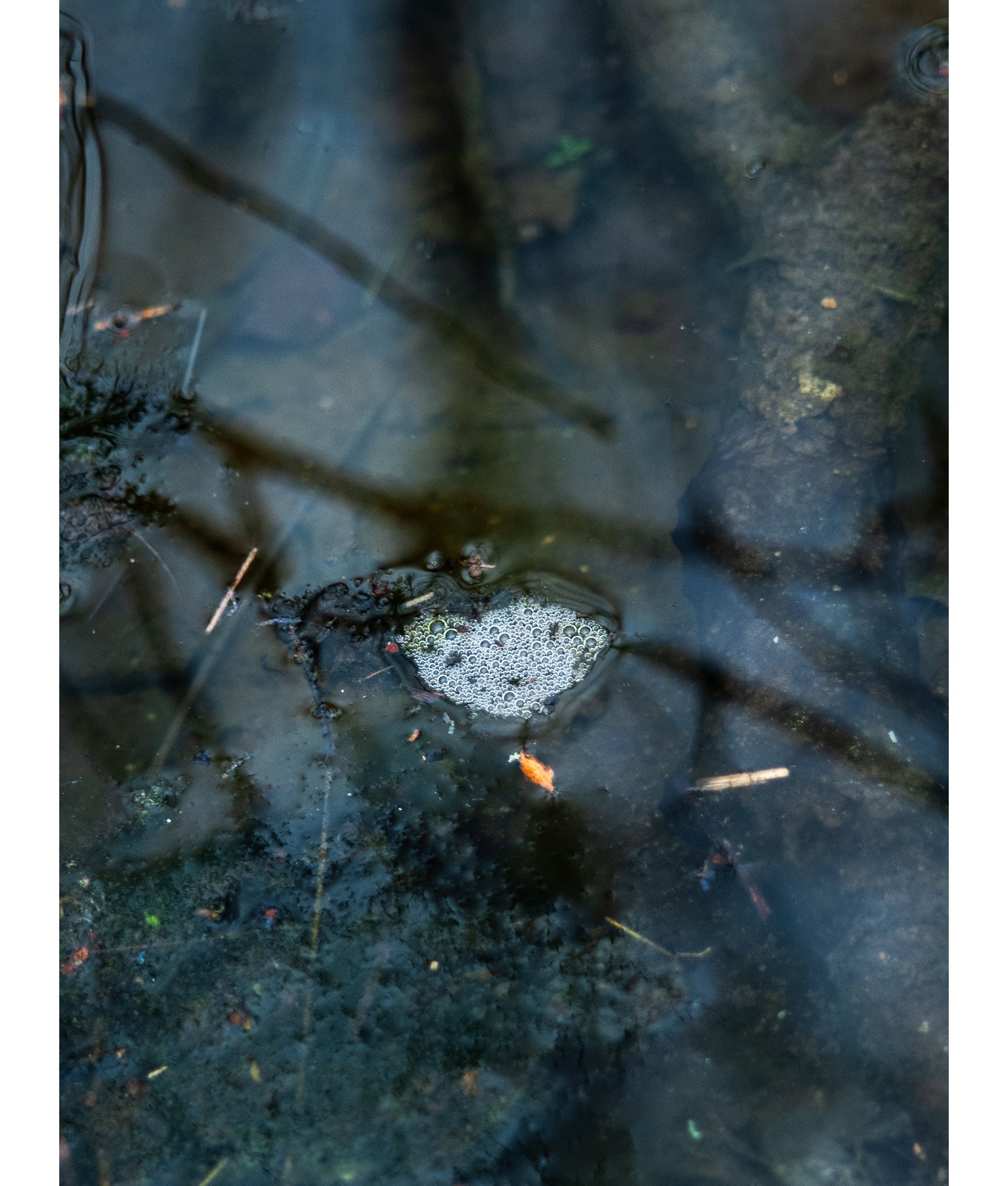 DSC_0033.jpg