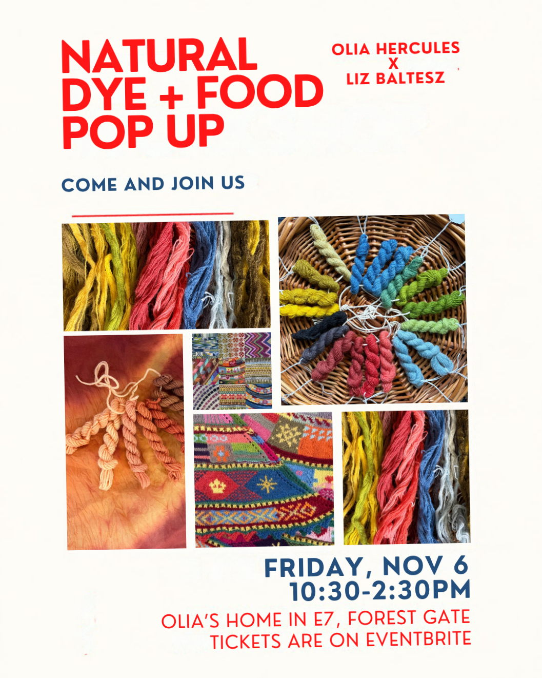 Natural Dye Workshop + Lunch