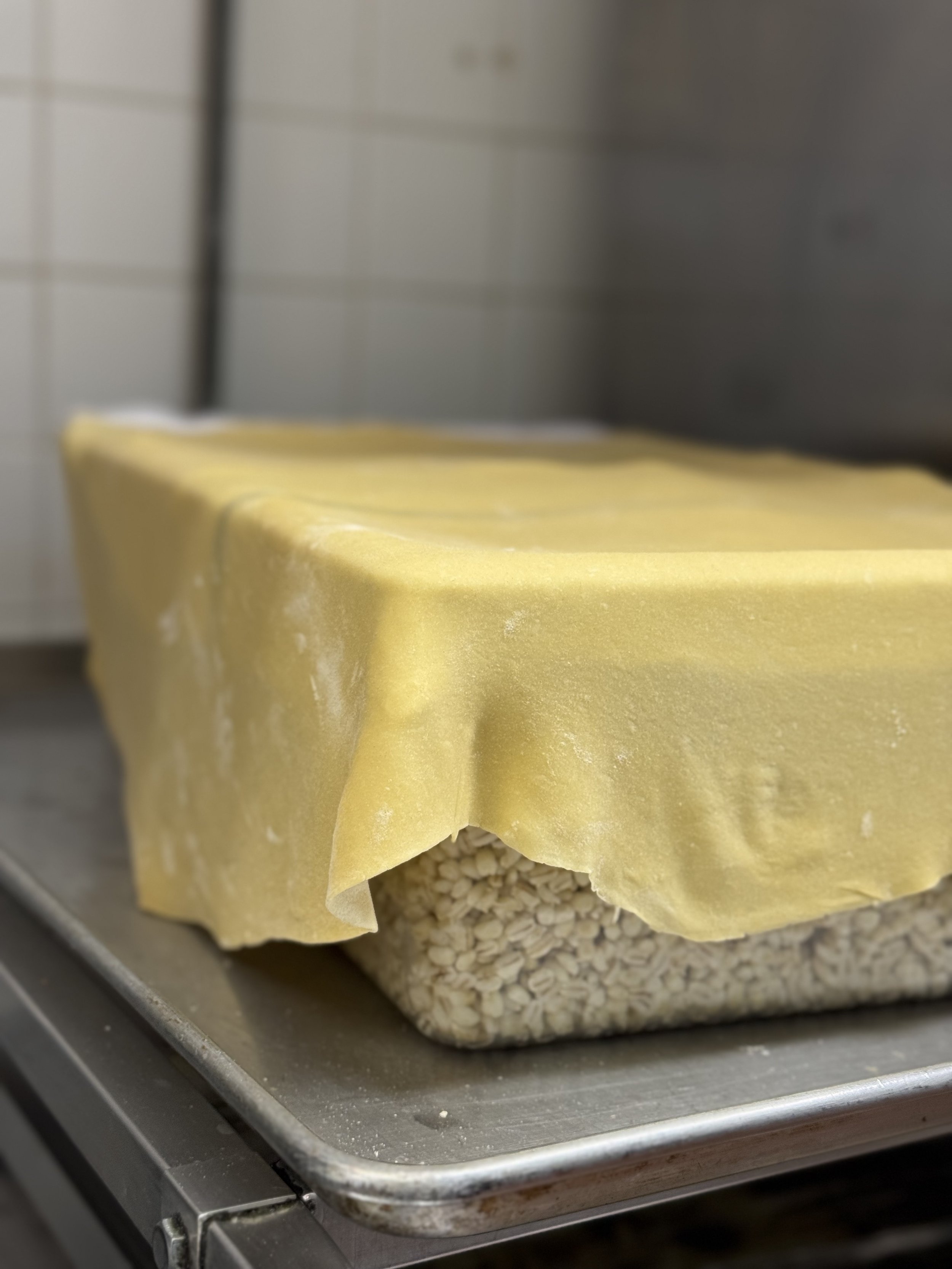Noodle Dough Cure.jpg