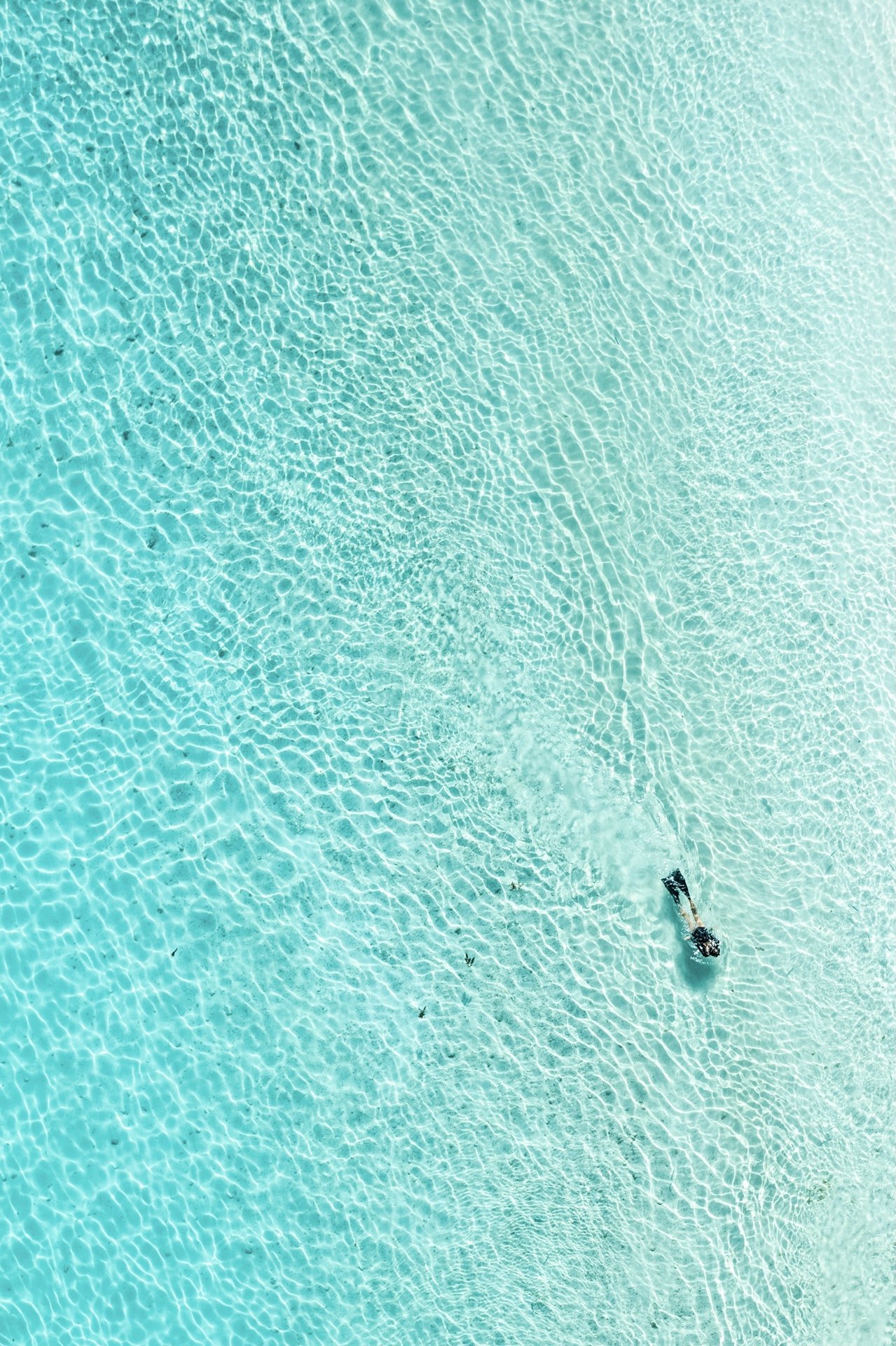 DJI_0652.jpg