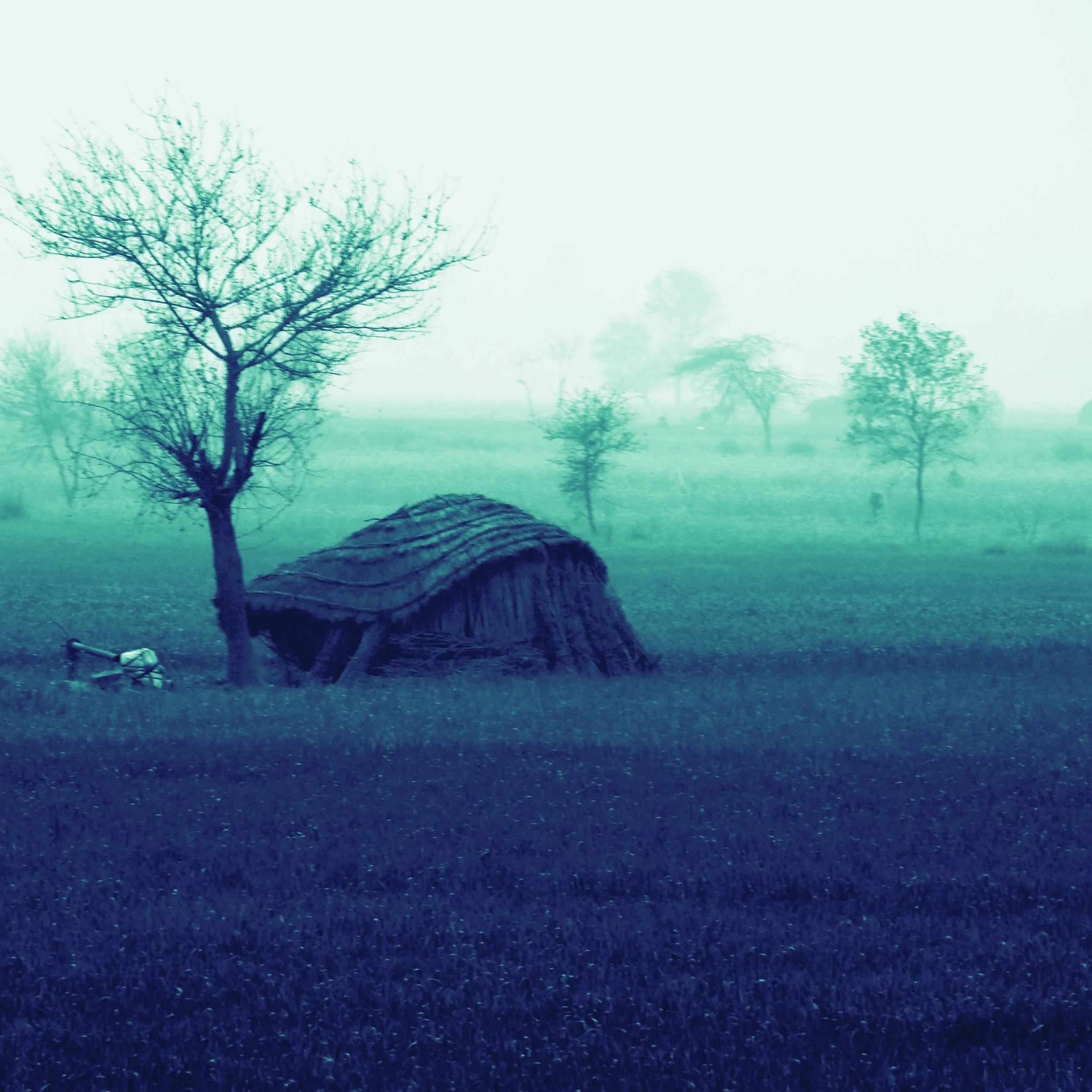 Beyond the Numbers: What the 2025 Monsoon Meant for Farmers in Central India