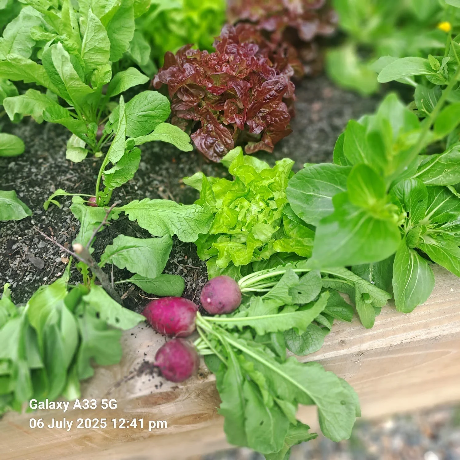 Funding for Cove &amp; Kilcreggan Community Garden