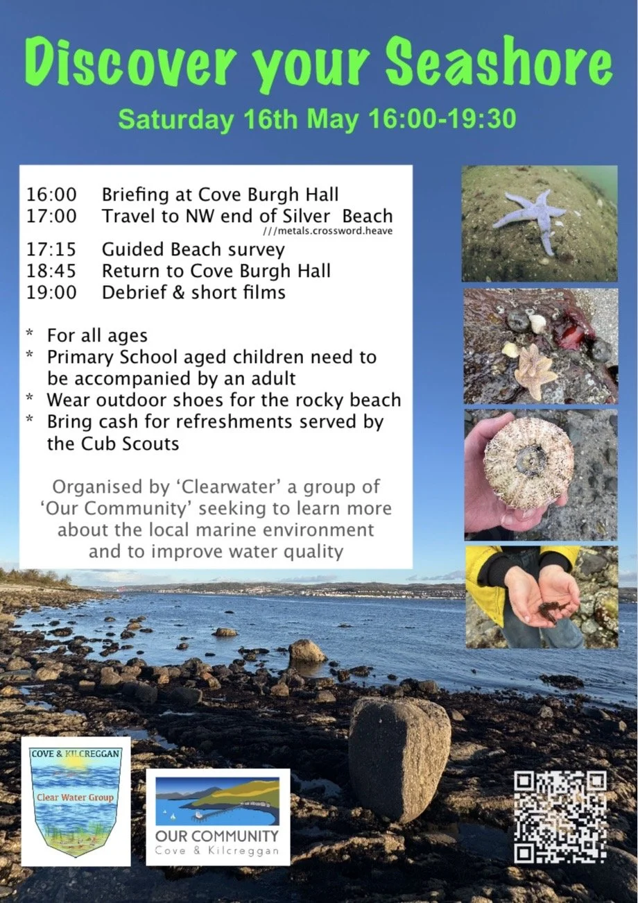 Clearwater Open Day & Beach Exploration