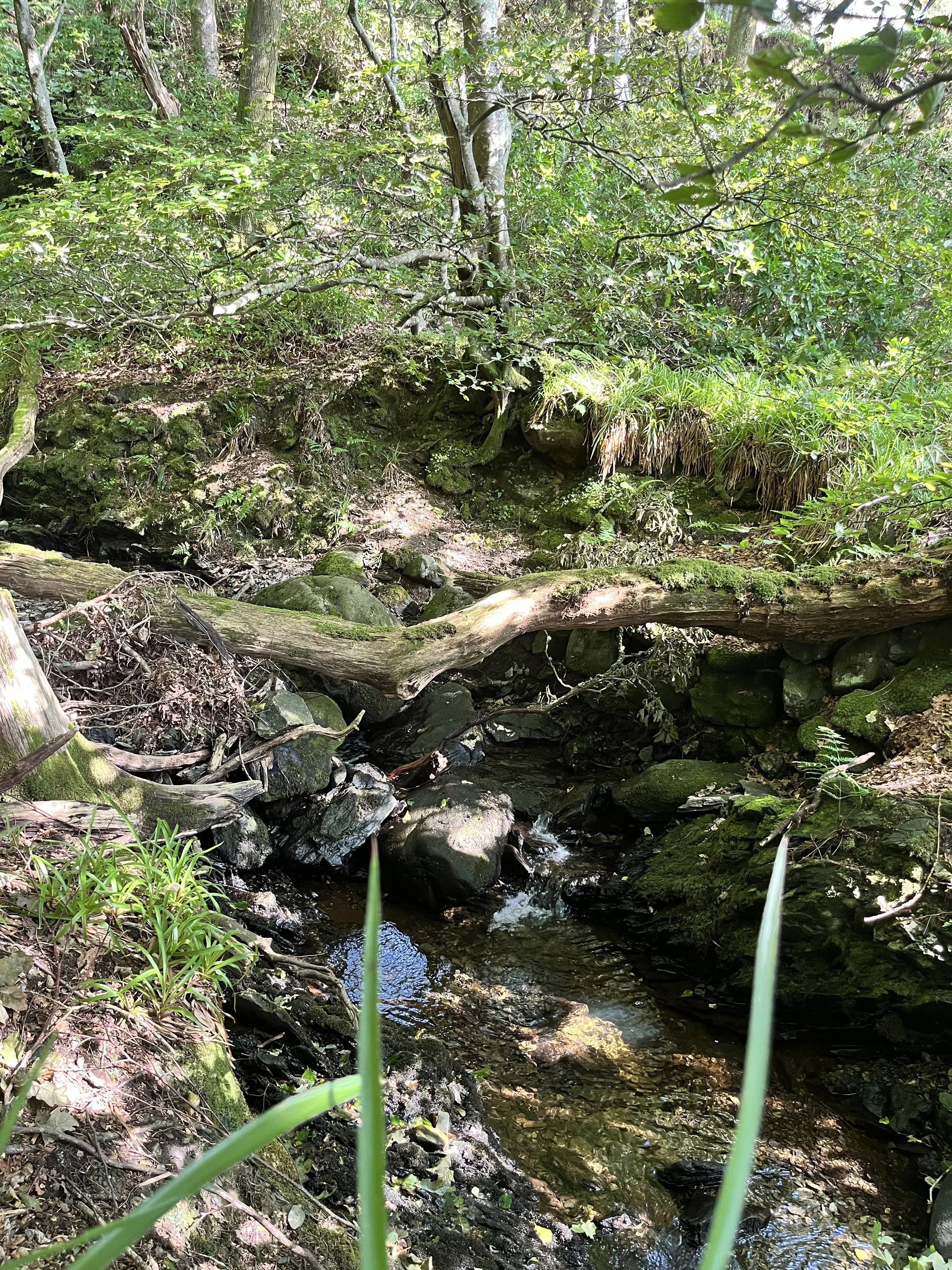 Peaton Woods Workday