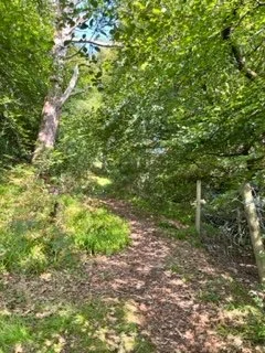 Peaton Woods Workday: CALL FOR VOLUNTEERS