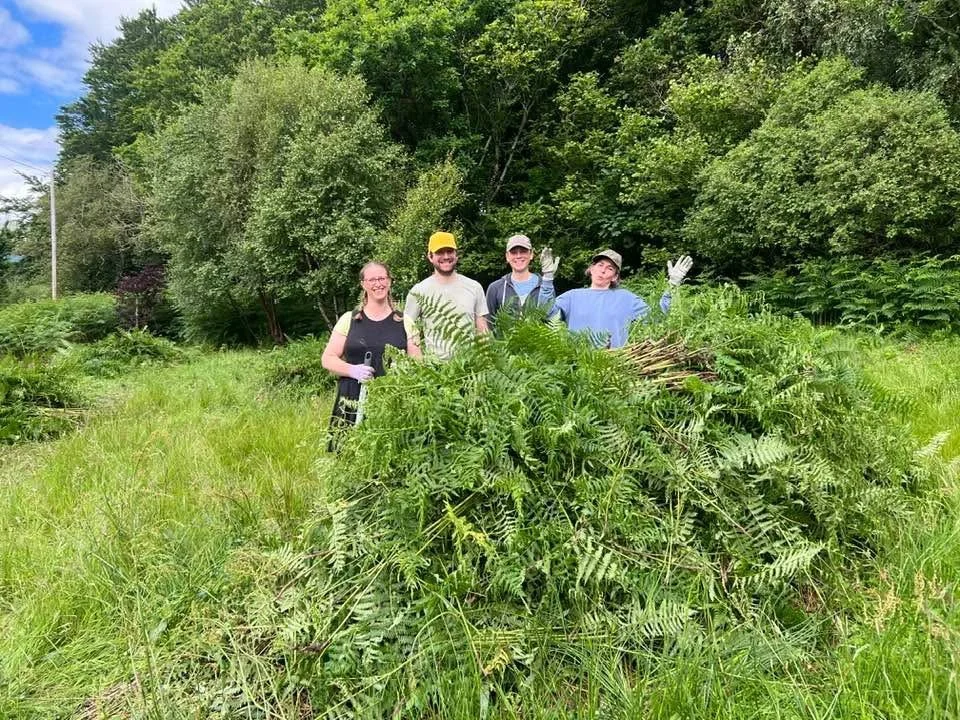 PEATON WOODS WORK DAY