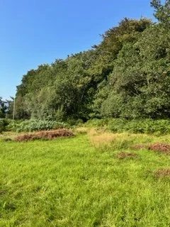 Peaton Woods Workday