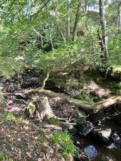 Peaton Woods Workday 