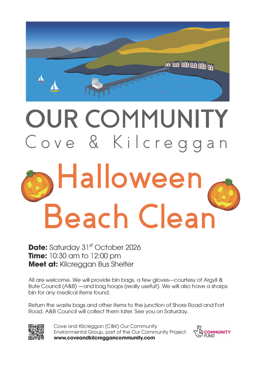 Halloween Beach Clean 