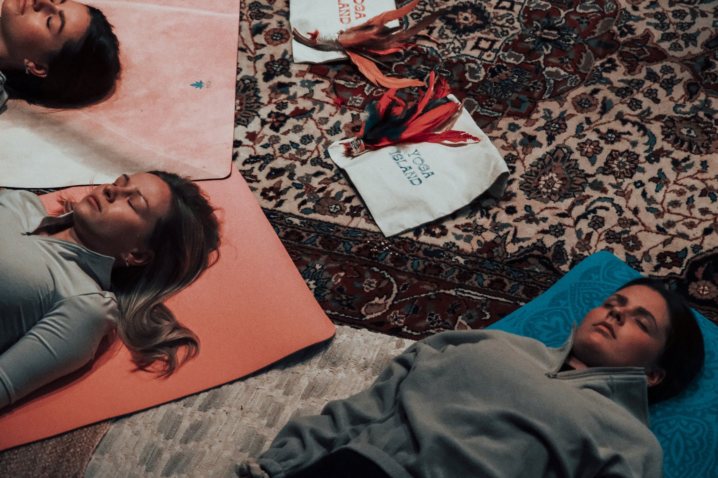 Wild-Robin_DSF7823 Kopie.jpg