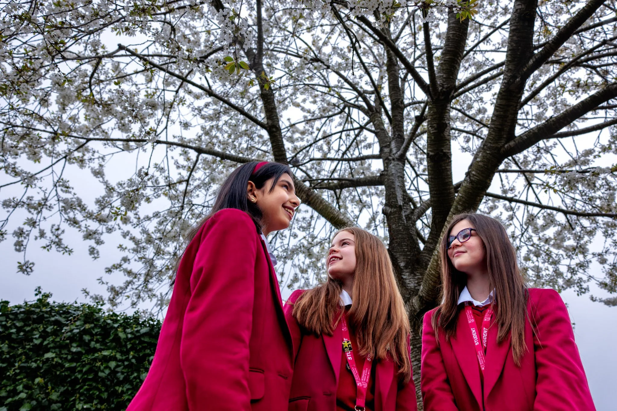 Redmaids' High School (Social Posts)