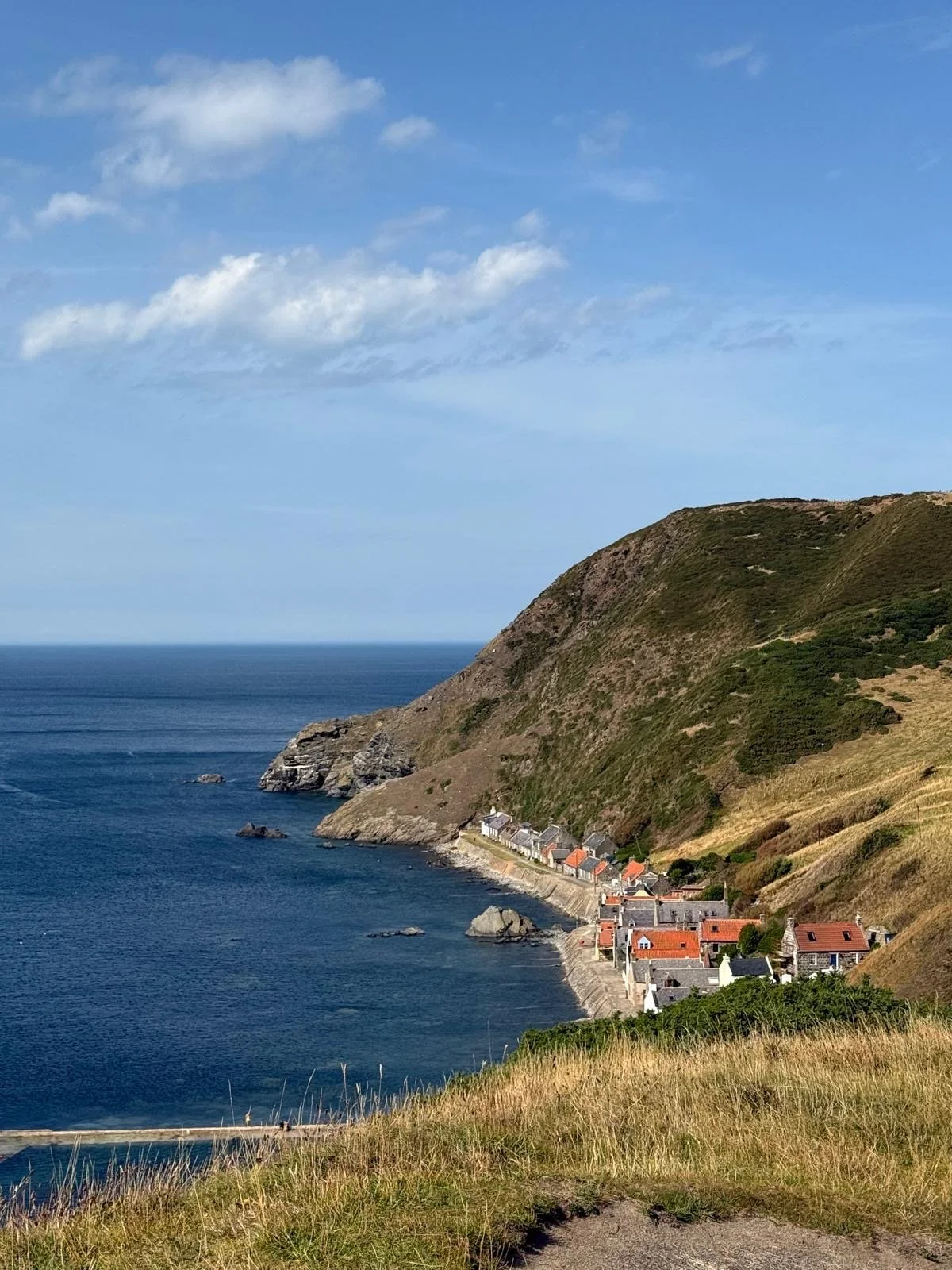 Crovie.jpeg
