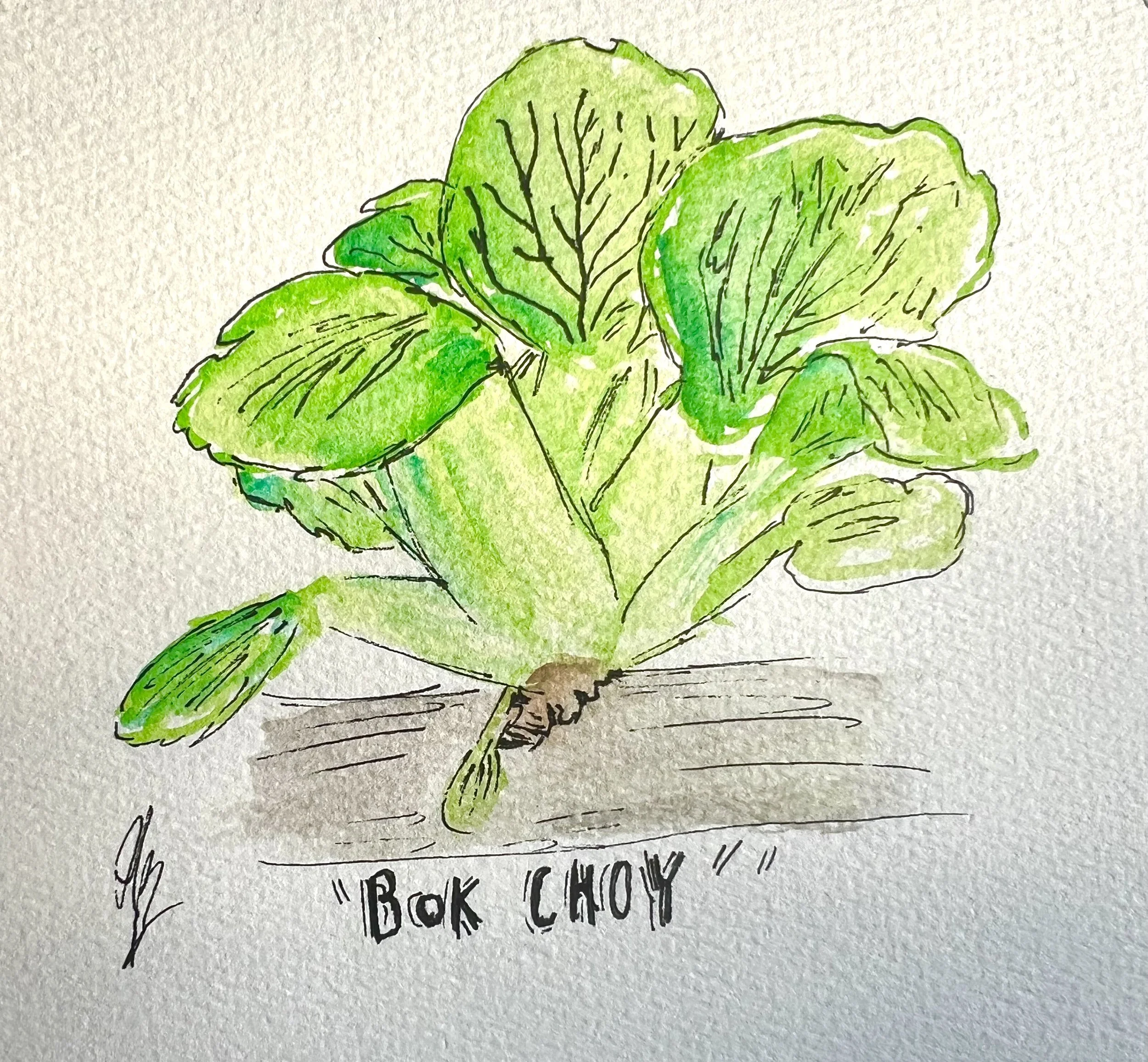 Baby Bok Choy Salad