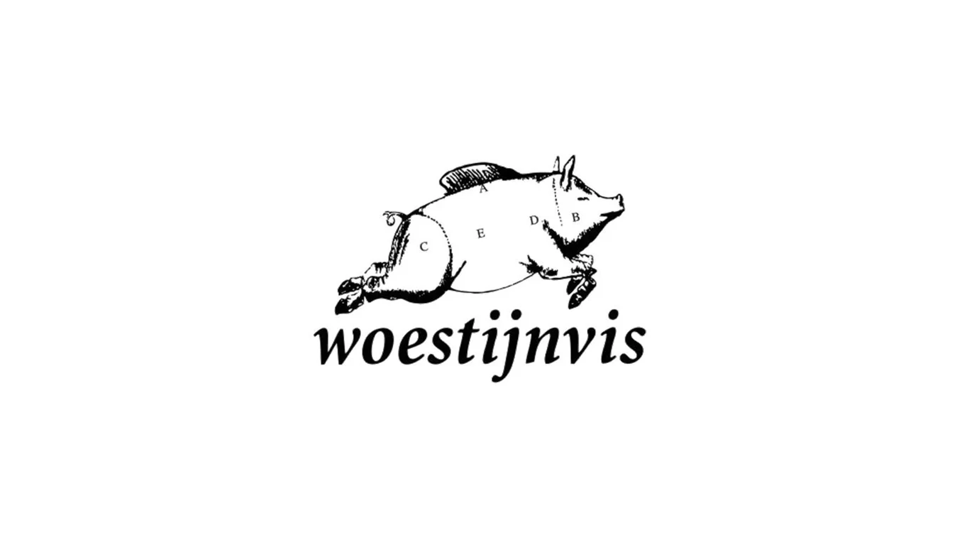 Logo Woestijnvis