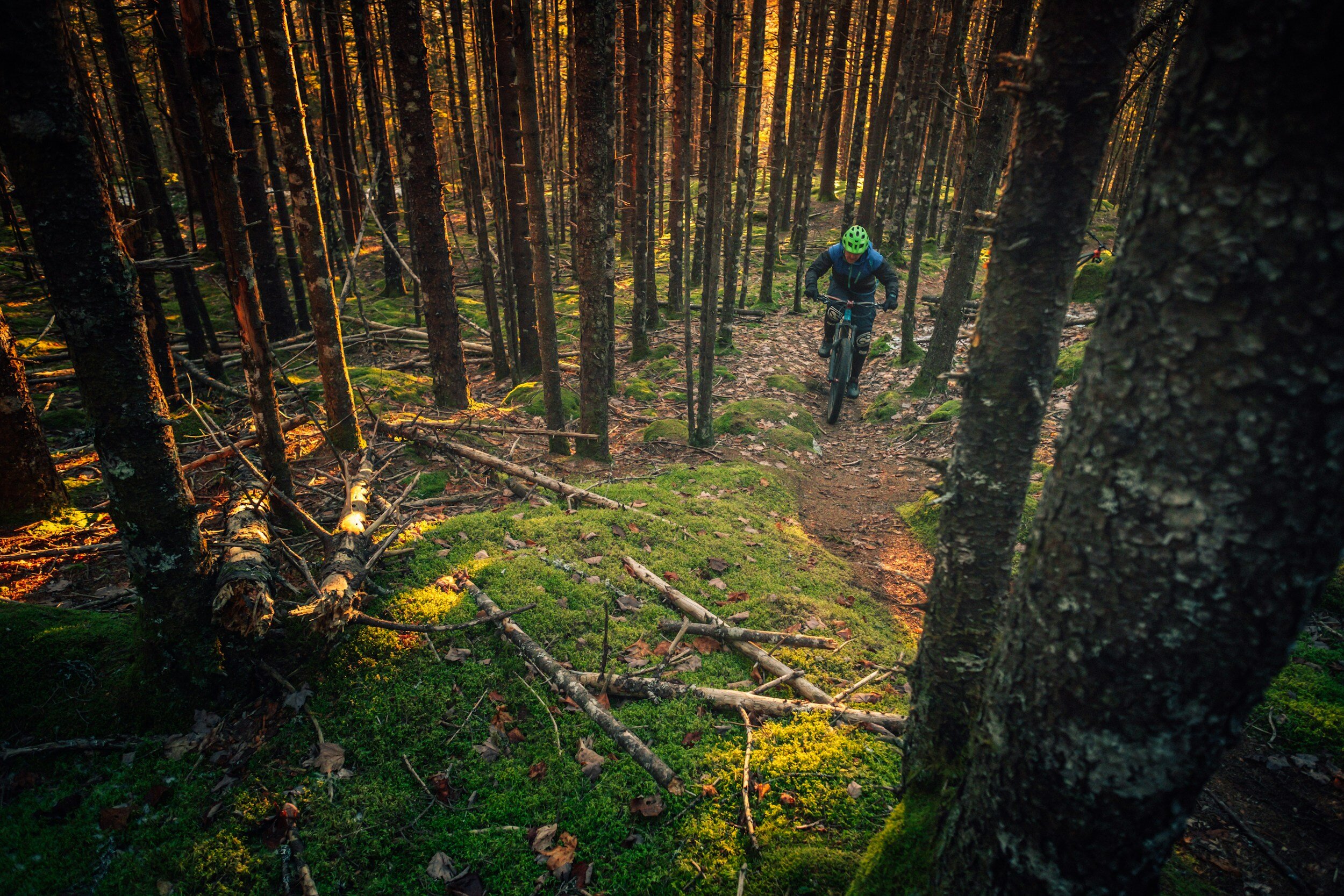A Beginner’s Guide To The Different Types Of Mountain Biking