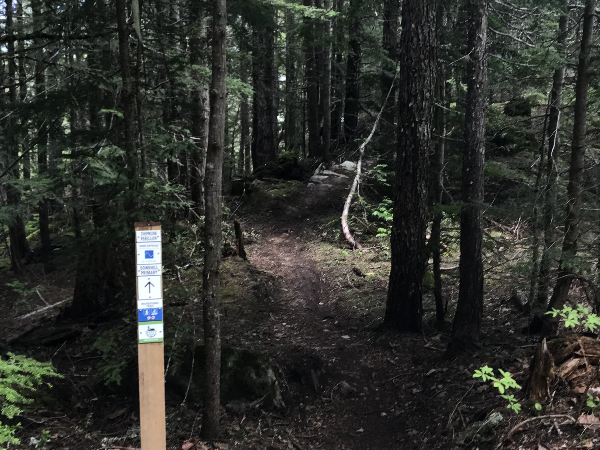What Trails Should I Ride? Deciphering MTB Trail Ratings For Beginners 
