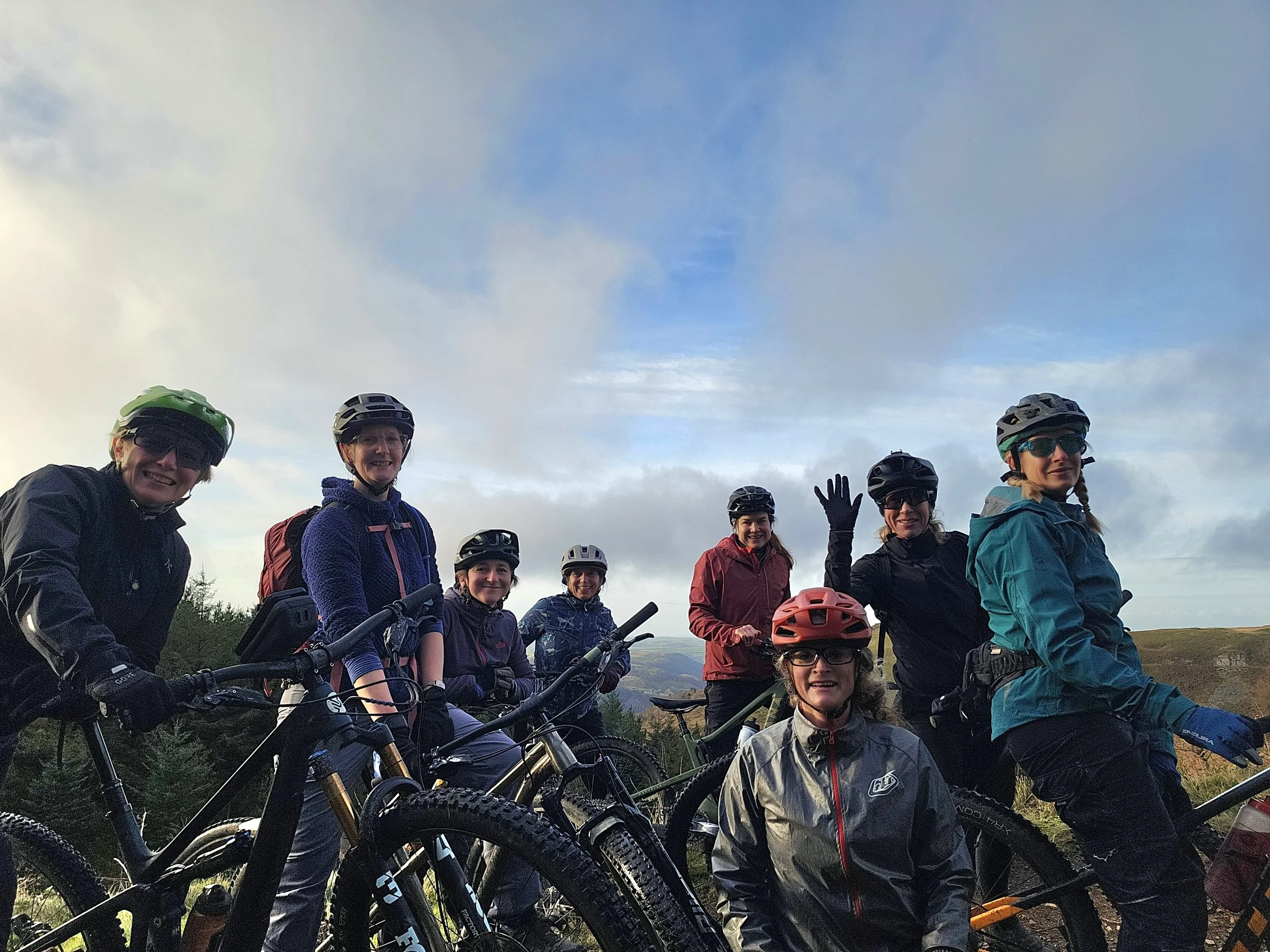 Coed y Brenin, Gwynedd