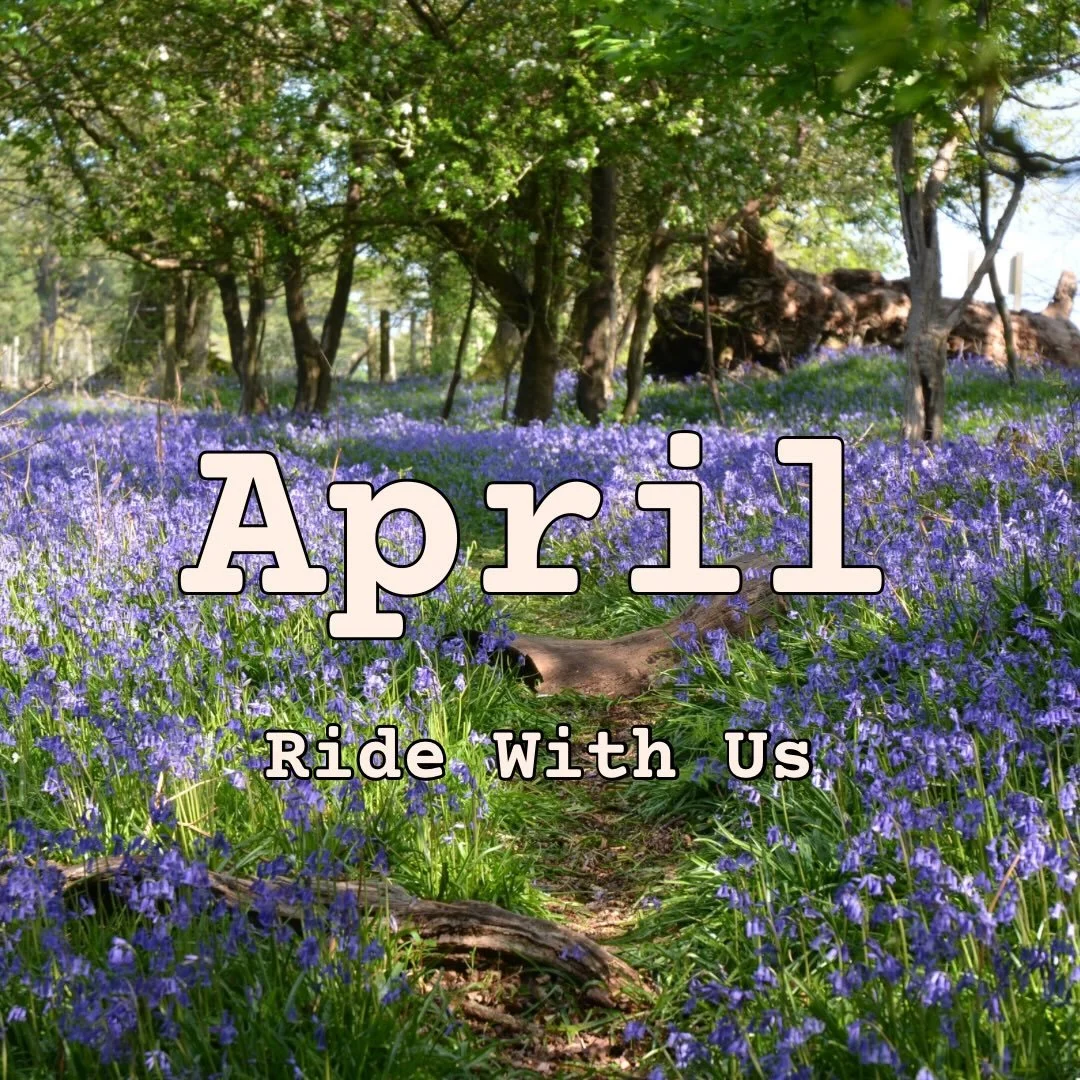 Spring is here 🌞💐🌻 Let&rsquo;s ride bikes together! 👯&zwj;♀️🤙

As the sun comes out and flowers burst out of the ground, the trails will start drying, the days will get longer and we can ride bikes more! 🤌🤘👏

Come and join us for a social rid