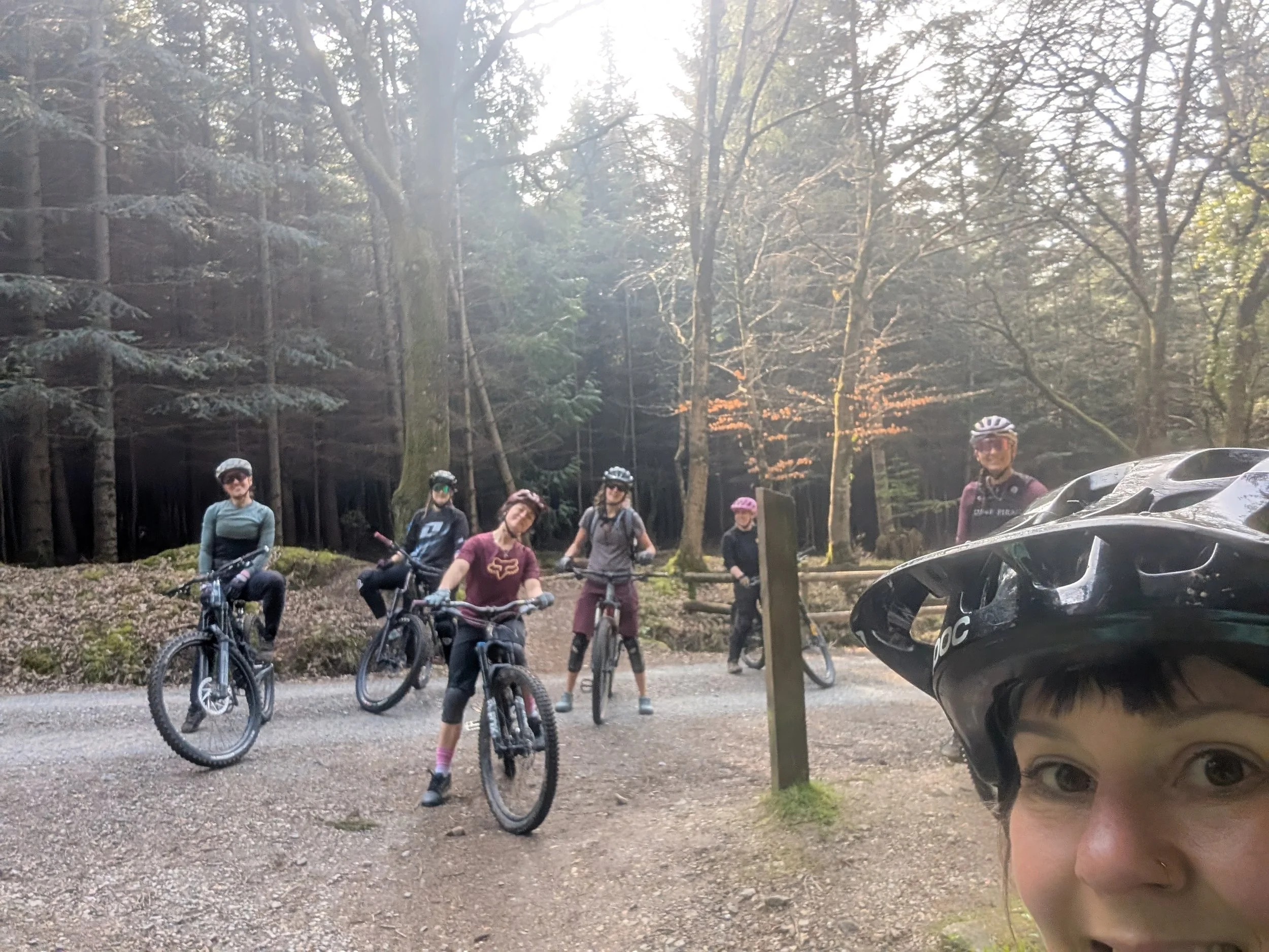 Haldon Forest Park, Exeter