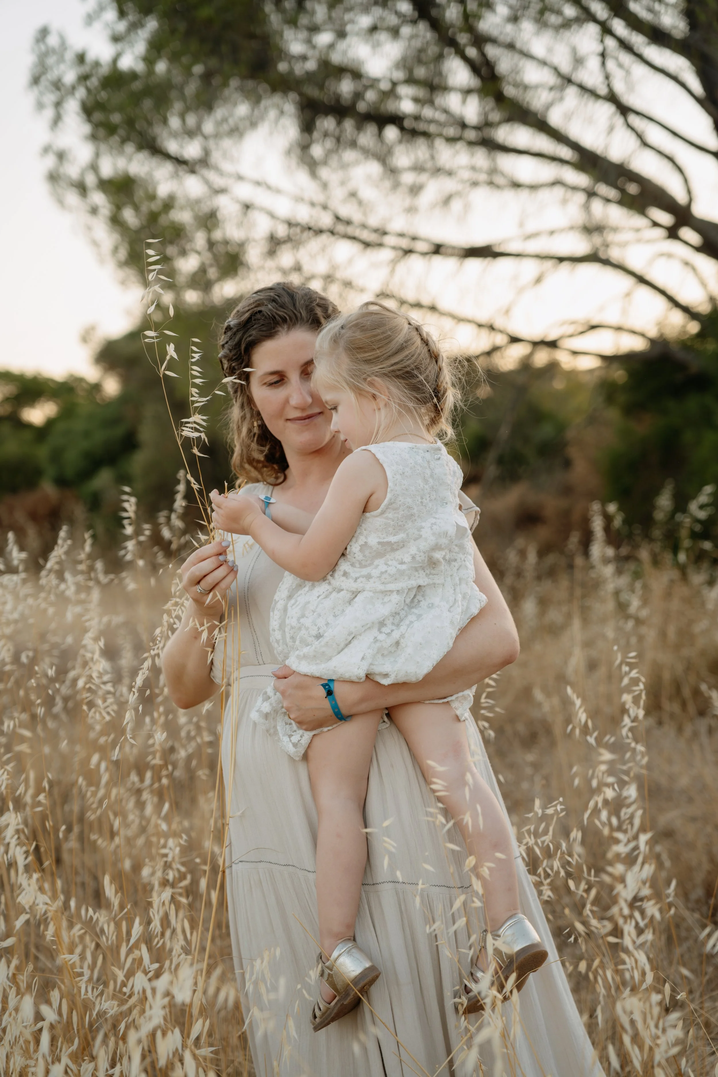 Une femme et une jeune fille dans un champ en dehors, tenant une branche de plantes et partageant un moment tendresse, au coucher du soleil.