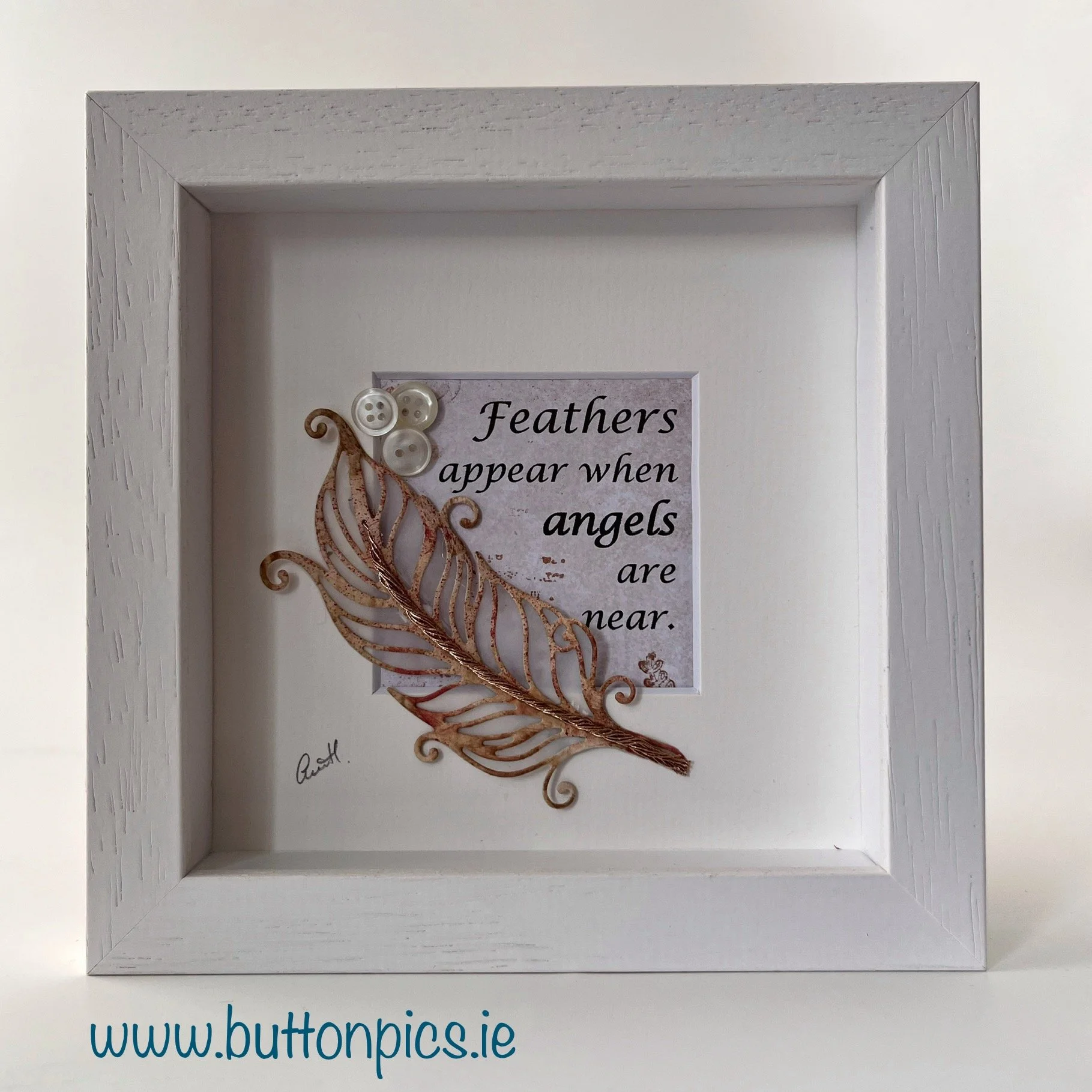 Feathers (little pic)