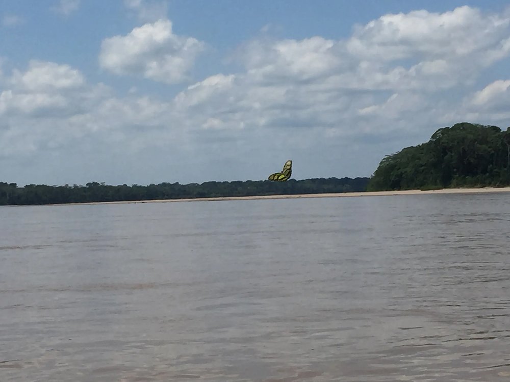  Rivers are the only source of travel in many parts of the Amazon, Photo LKM 