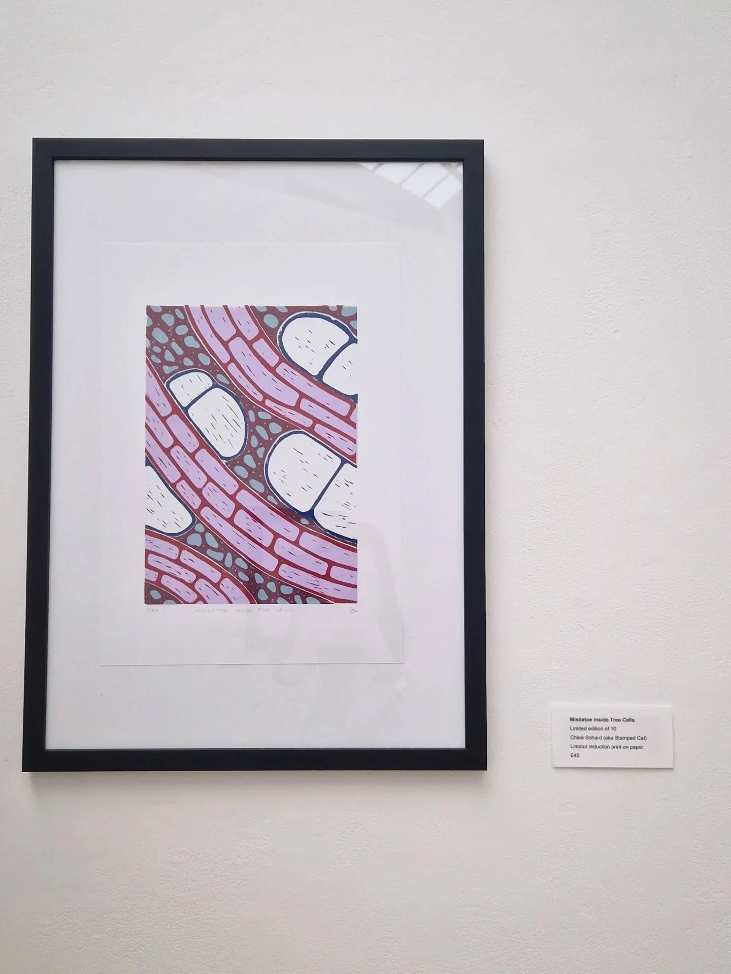 You're Invited: Join us for the Opening Night of Cellular! 🥂✨
Every masterpiece begins with a single spark&mdash;and every exhibition begins with a celebration.

We are thrilled to invite you to the official launch of Cellular, The Drill Hall&rsquo;