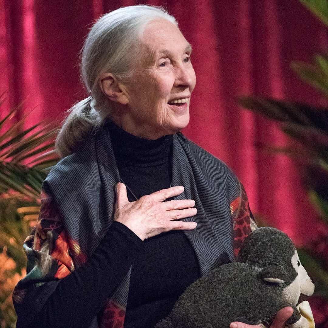 🎉🎂 HAPPY 90TH BIRTHDAY, JANE! 🎂🎉

From your groundbreaking observations of chimpanzees to your current work as a global conservation advocate, you inspire hope and transform it into action 💚

🌎 Across oceans and continents, each Jane Goodall In