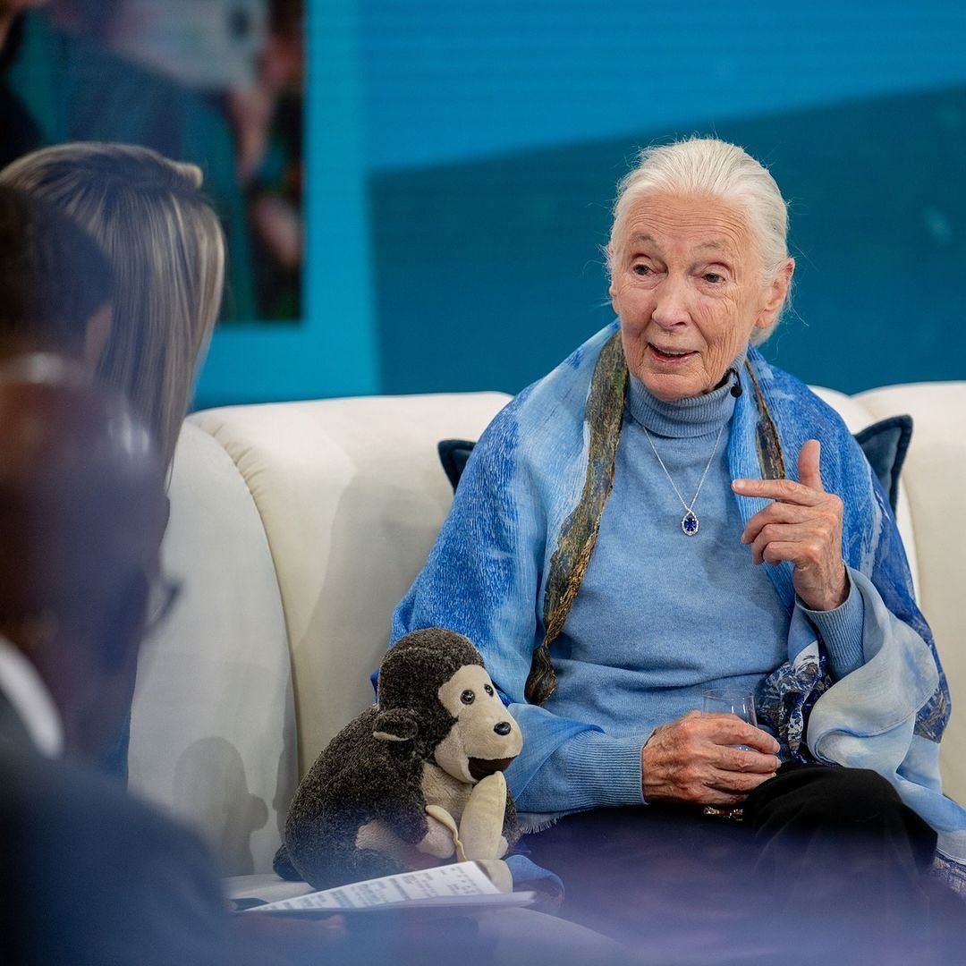 Dr. Jane Goodall&rsquo;s insights into animal behavior have helped pave the way for transformations in animal welfare and research the world over. But #DidYouKnow that Jane didn&rsquo;t begin her formal advocacy work until 1986? That year, she attend