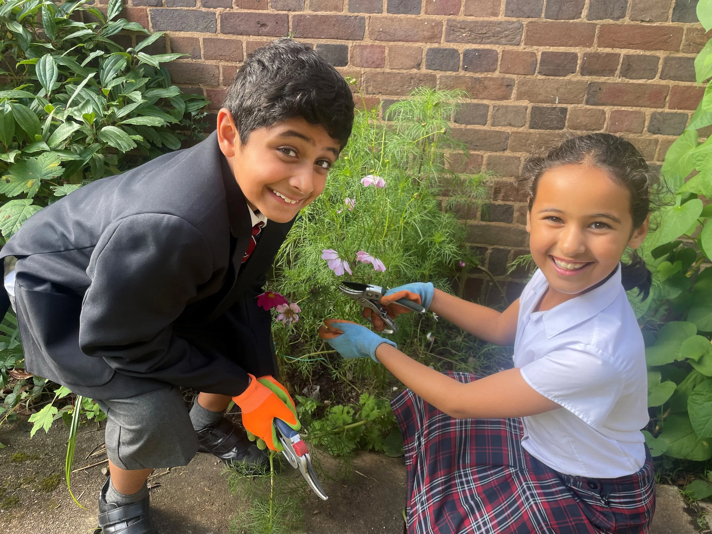 Pollination Stations at Solihull Prep