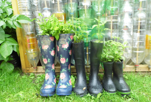 7 simple things you can do to live a greener life